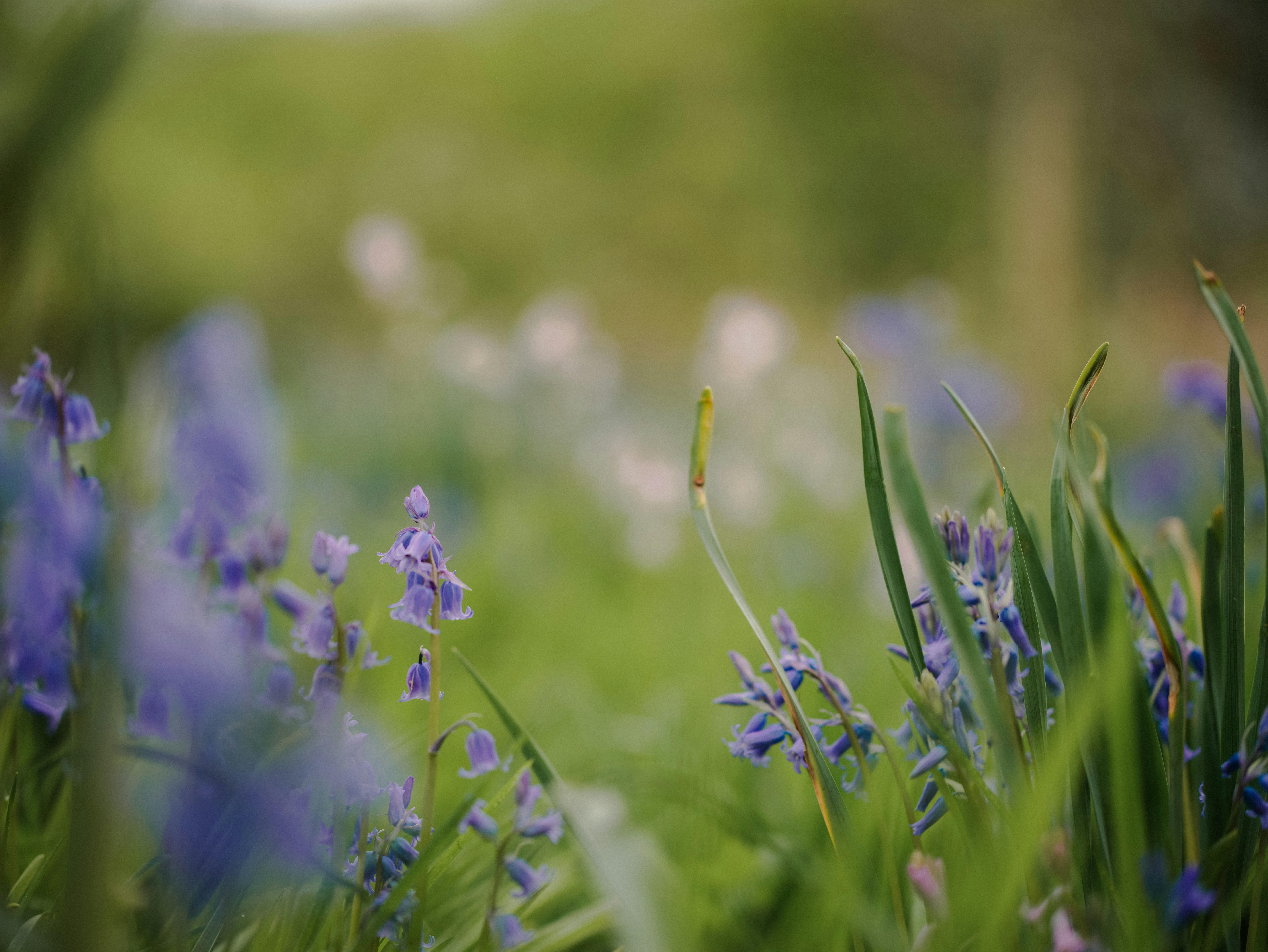 Photo by anniespratt