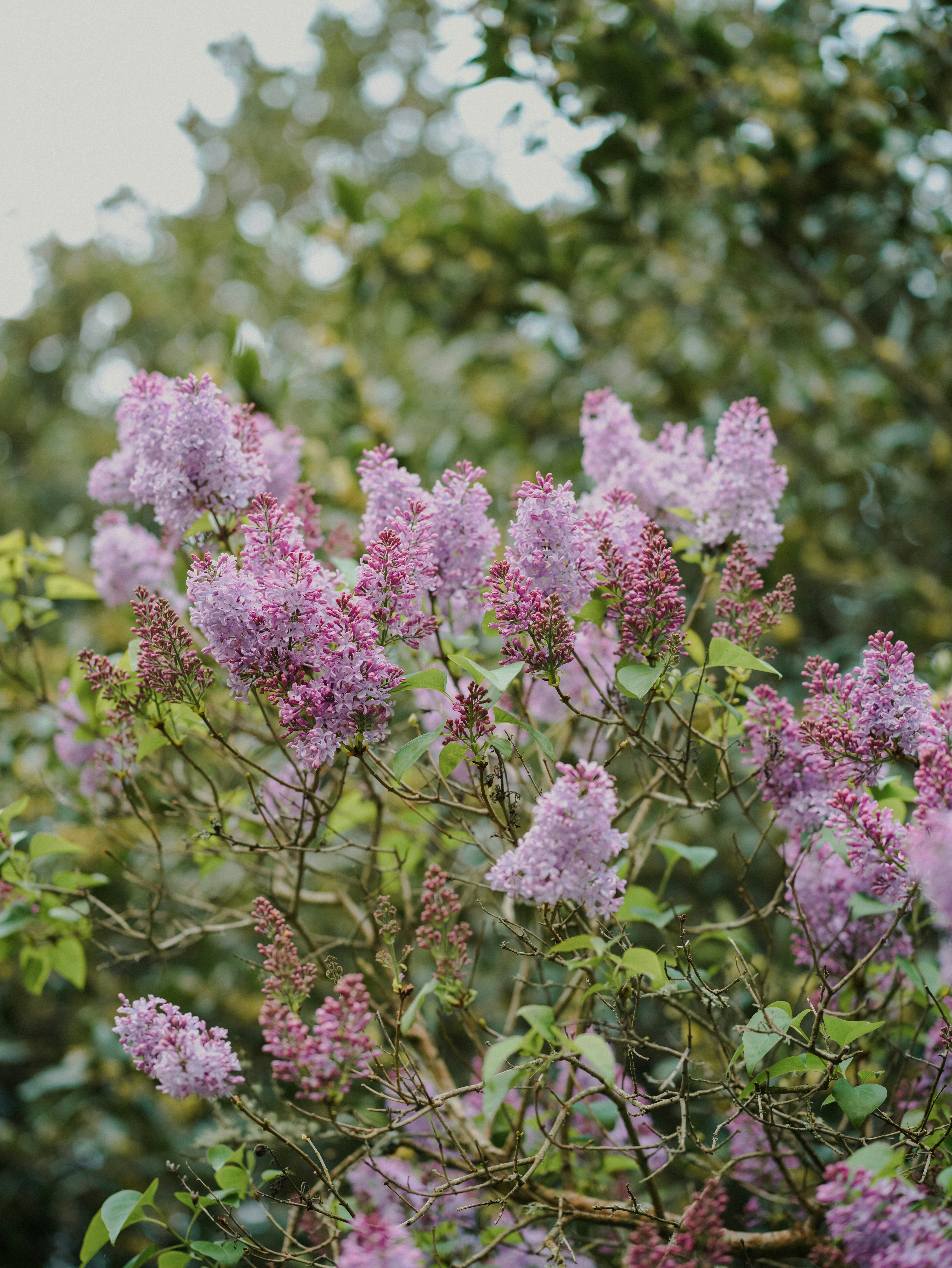 Photo by anniespratt