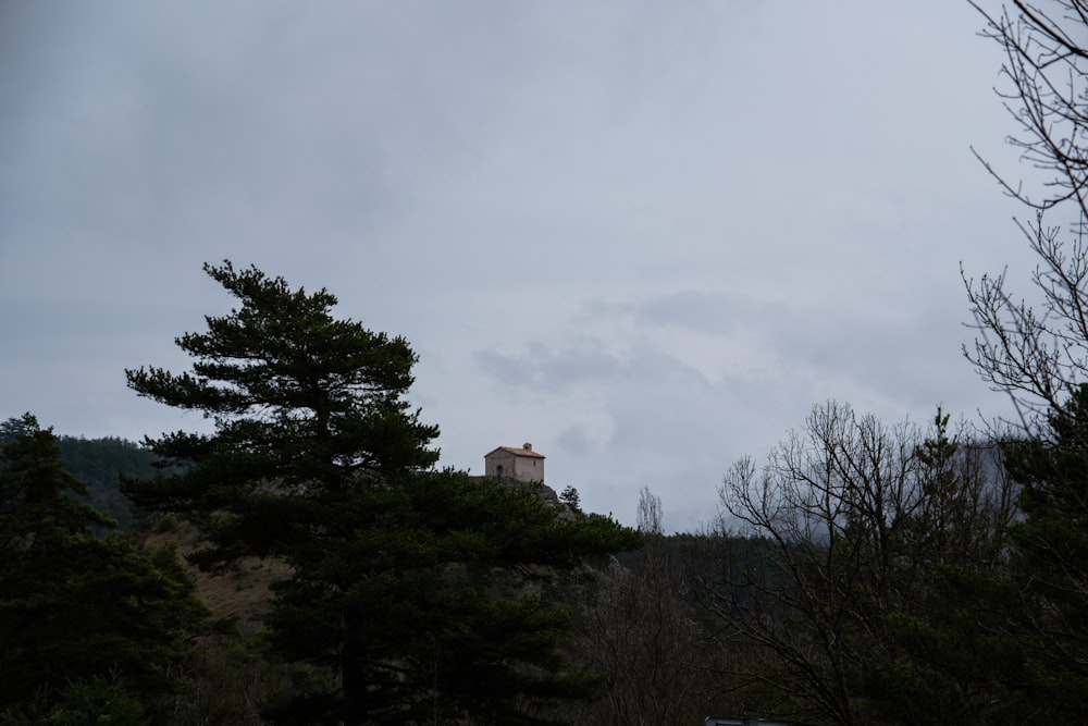 uma torre no topo de uma colina cercada por árvores