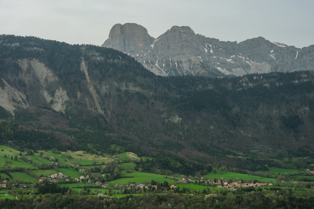 a scenic view of a valley with mountains in the background