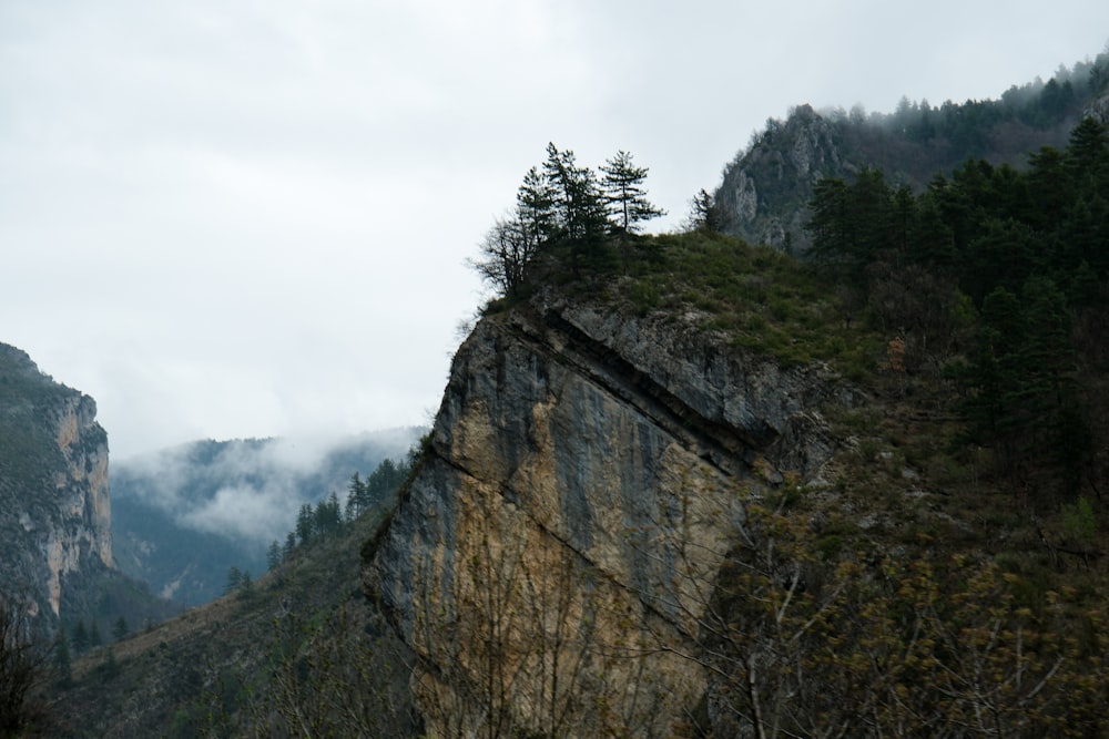 a mountain side with trees and fog in the distance