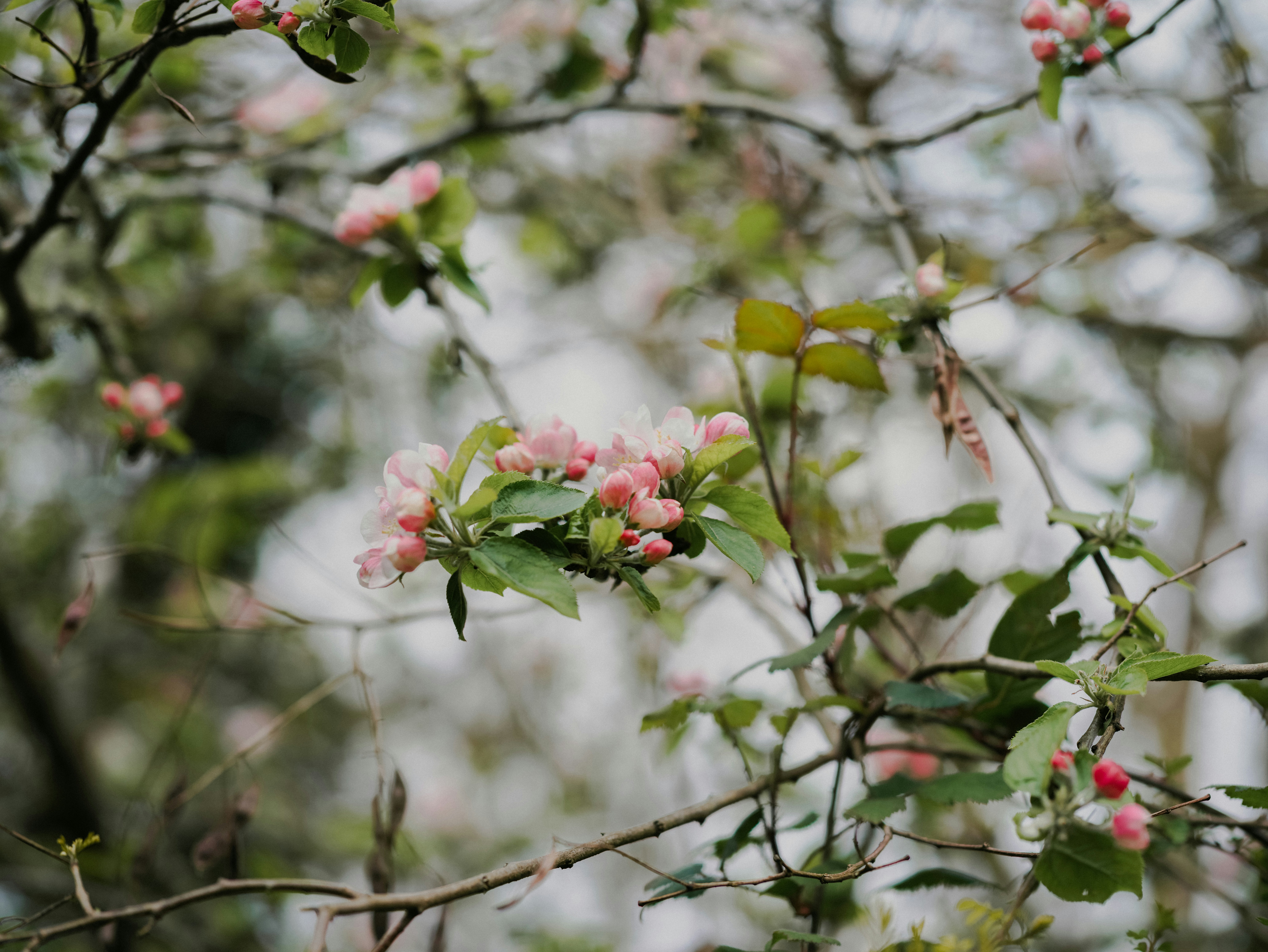 Photo by anniespratt