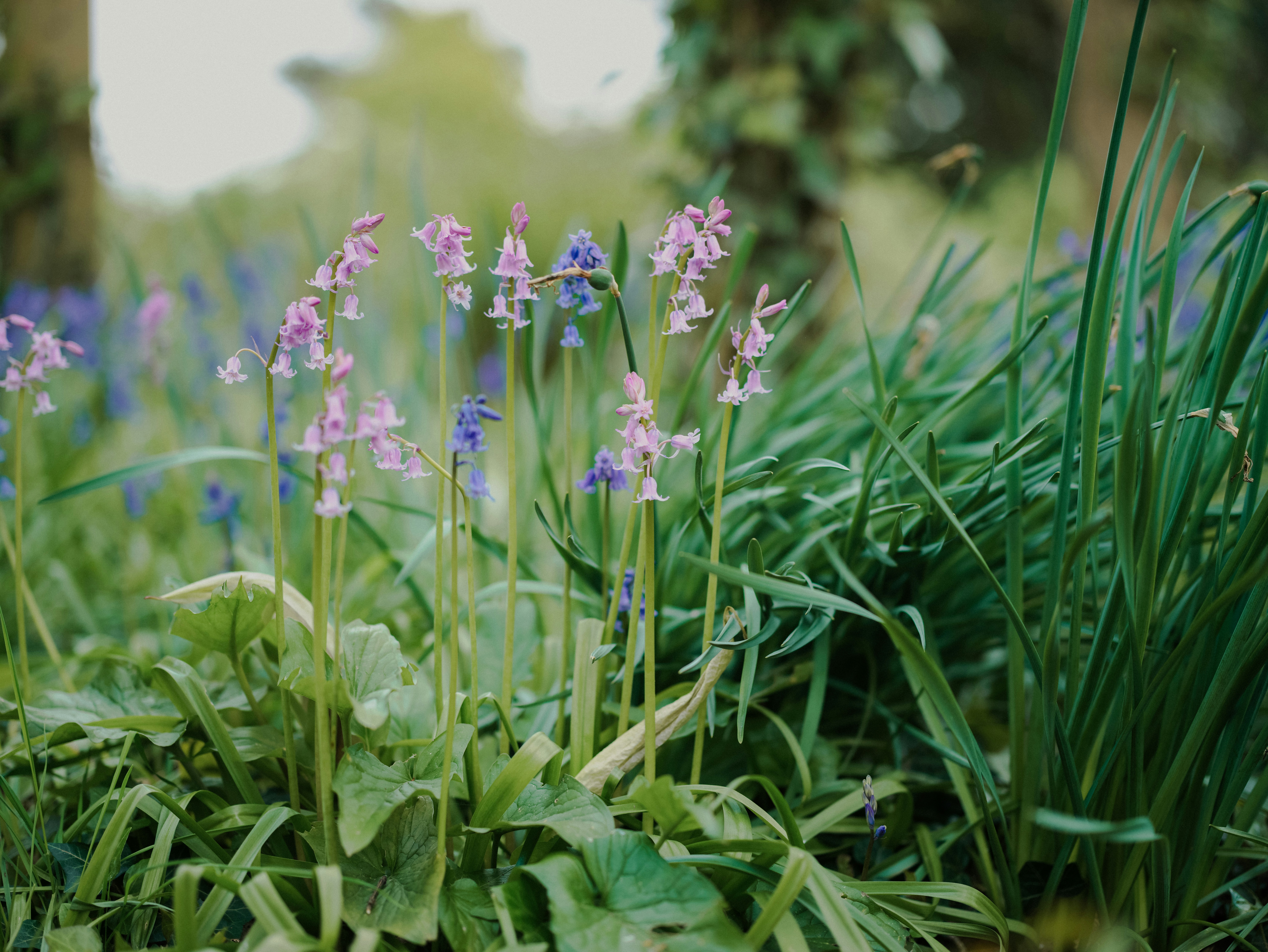 Photo by anniespratt