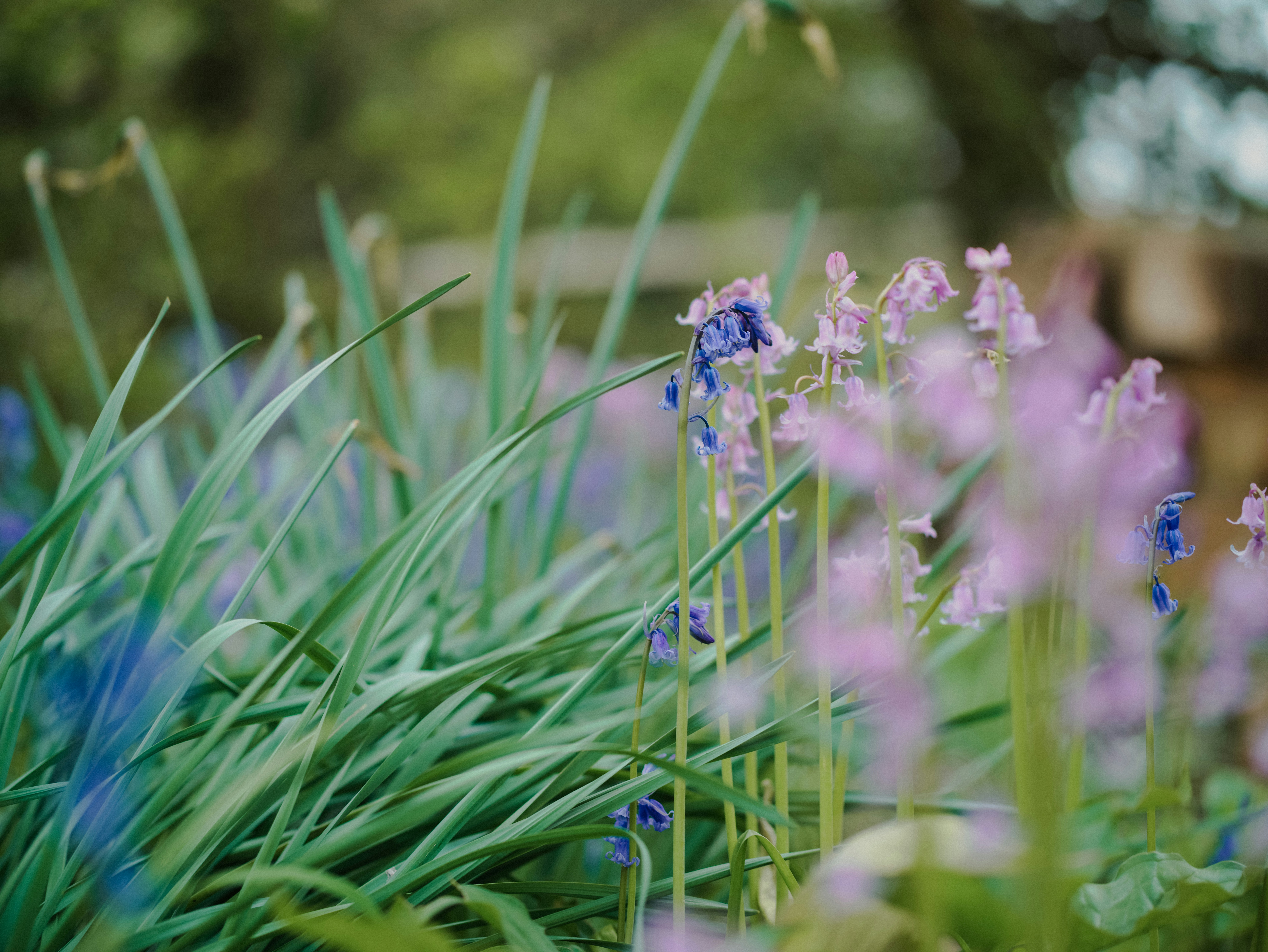 Photo by anniespratt