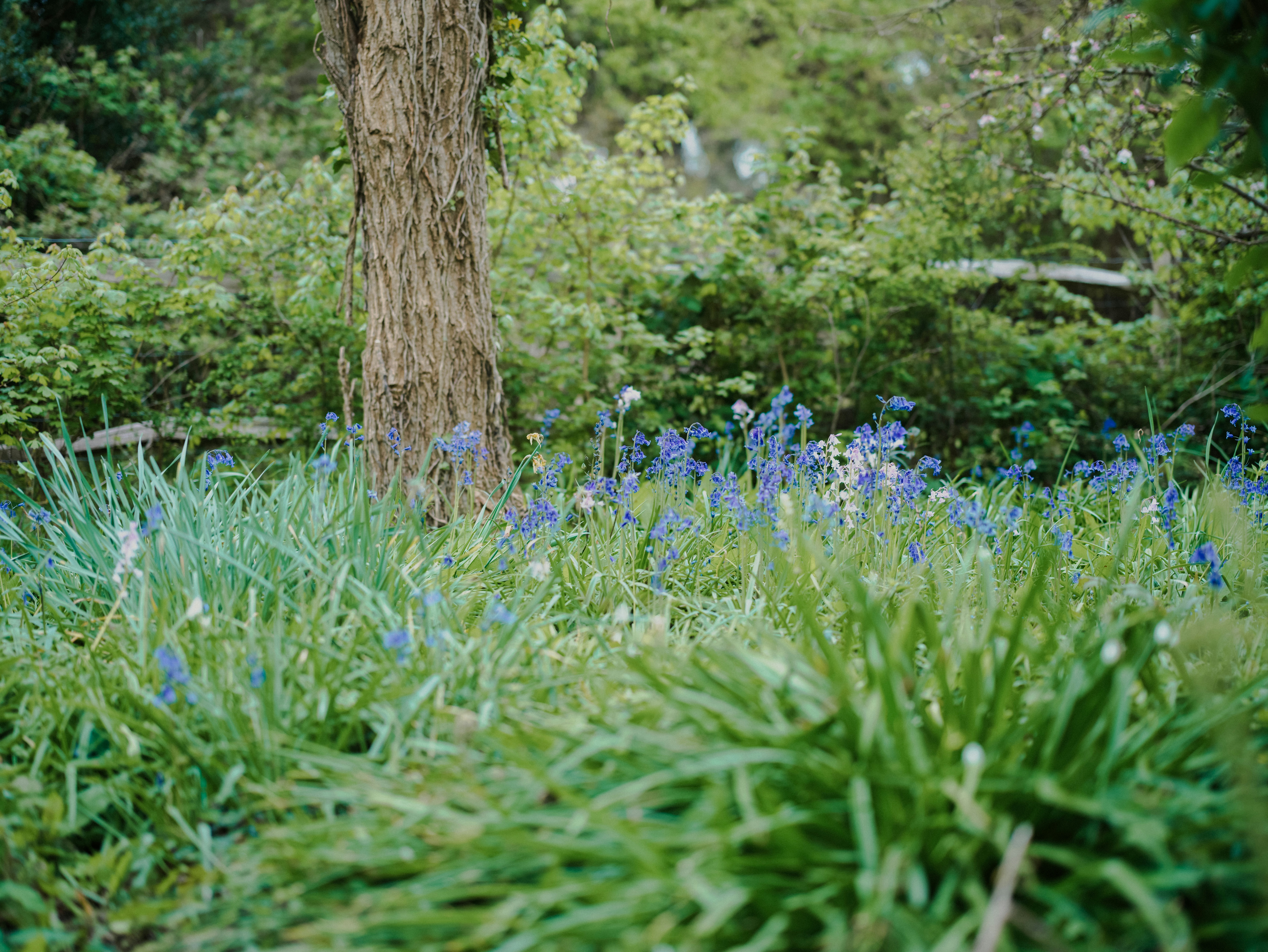 Photo by anniespratt