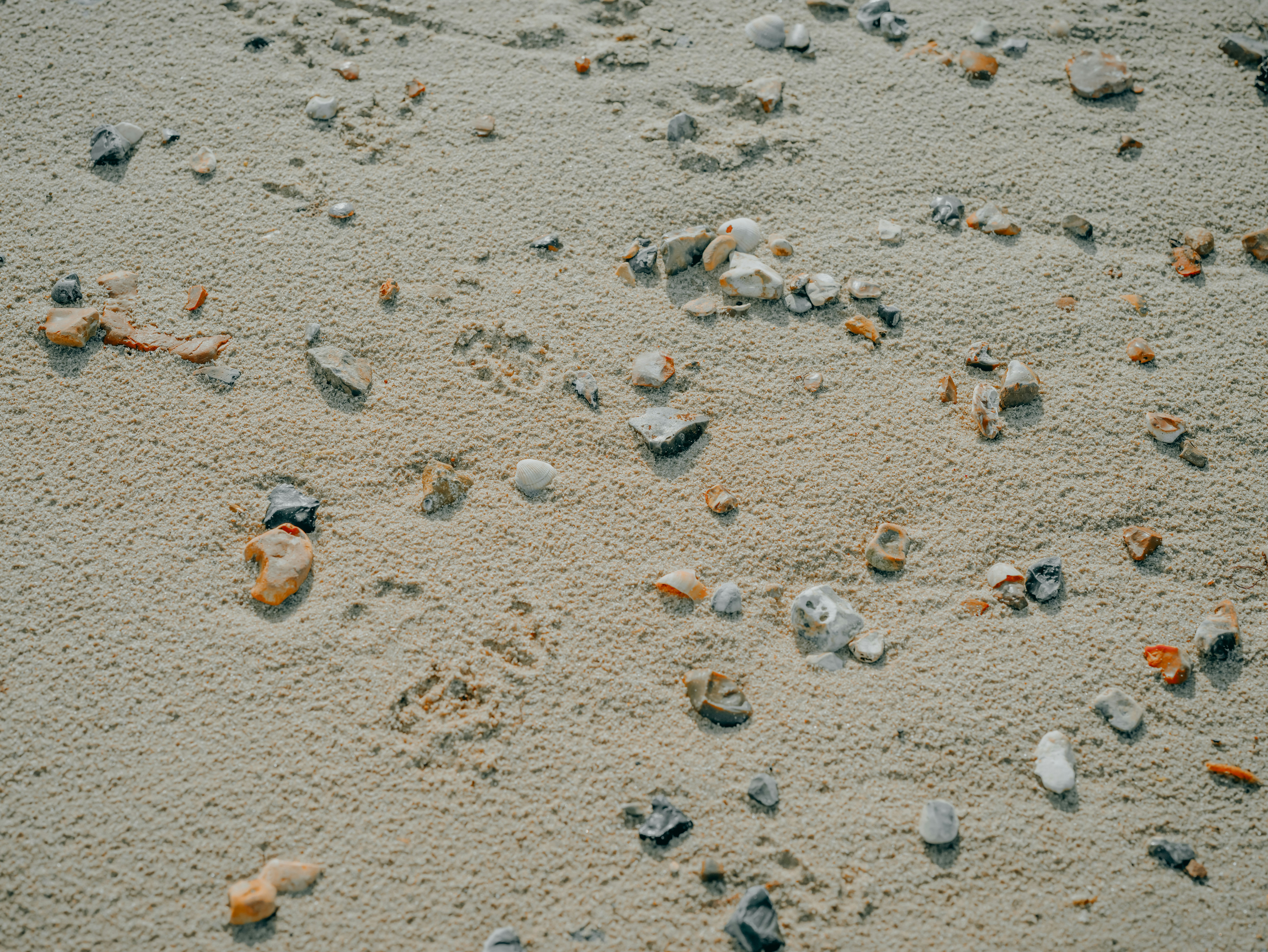 Photo by anniespratt