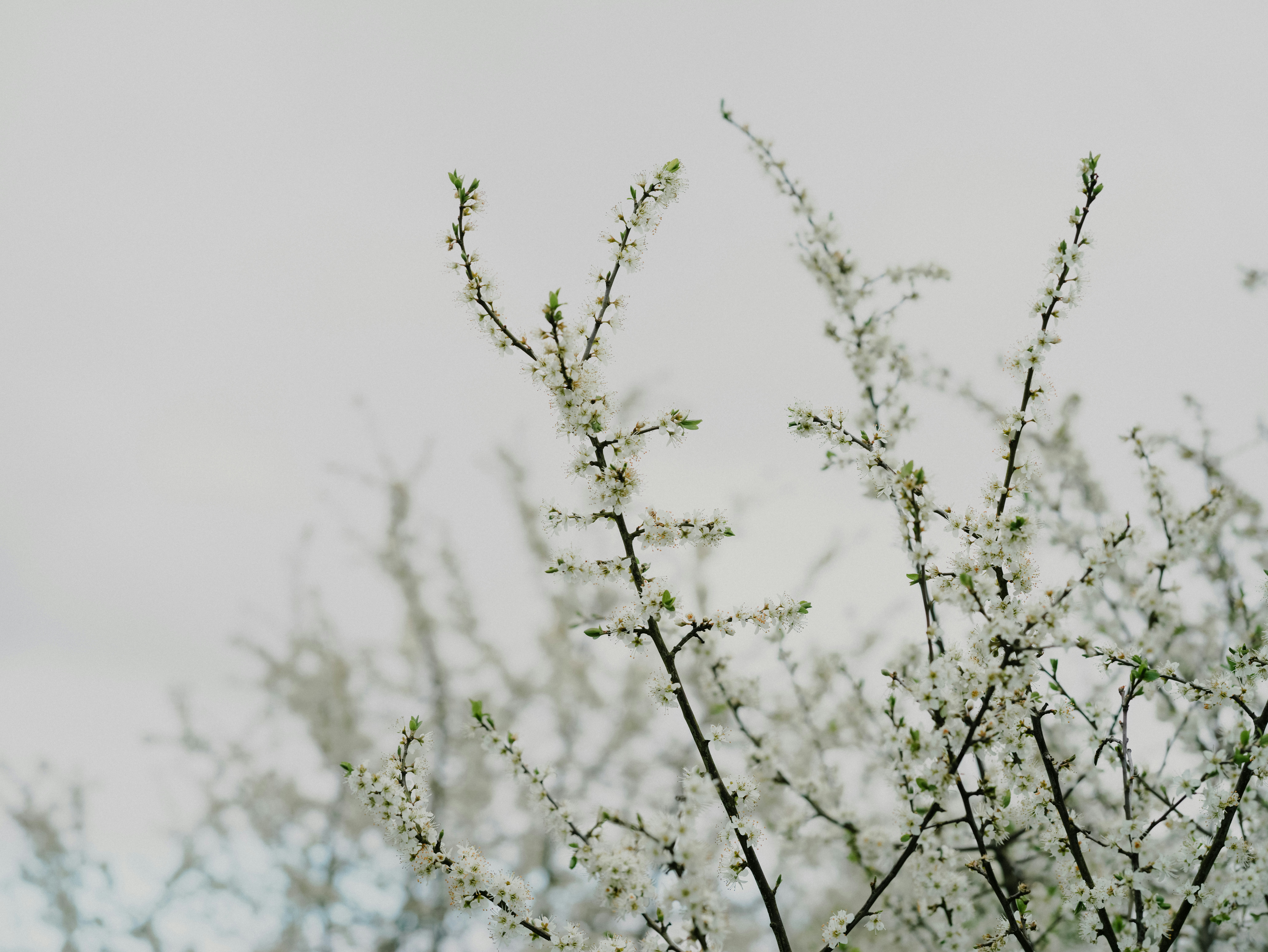 Photo by anniespratt