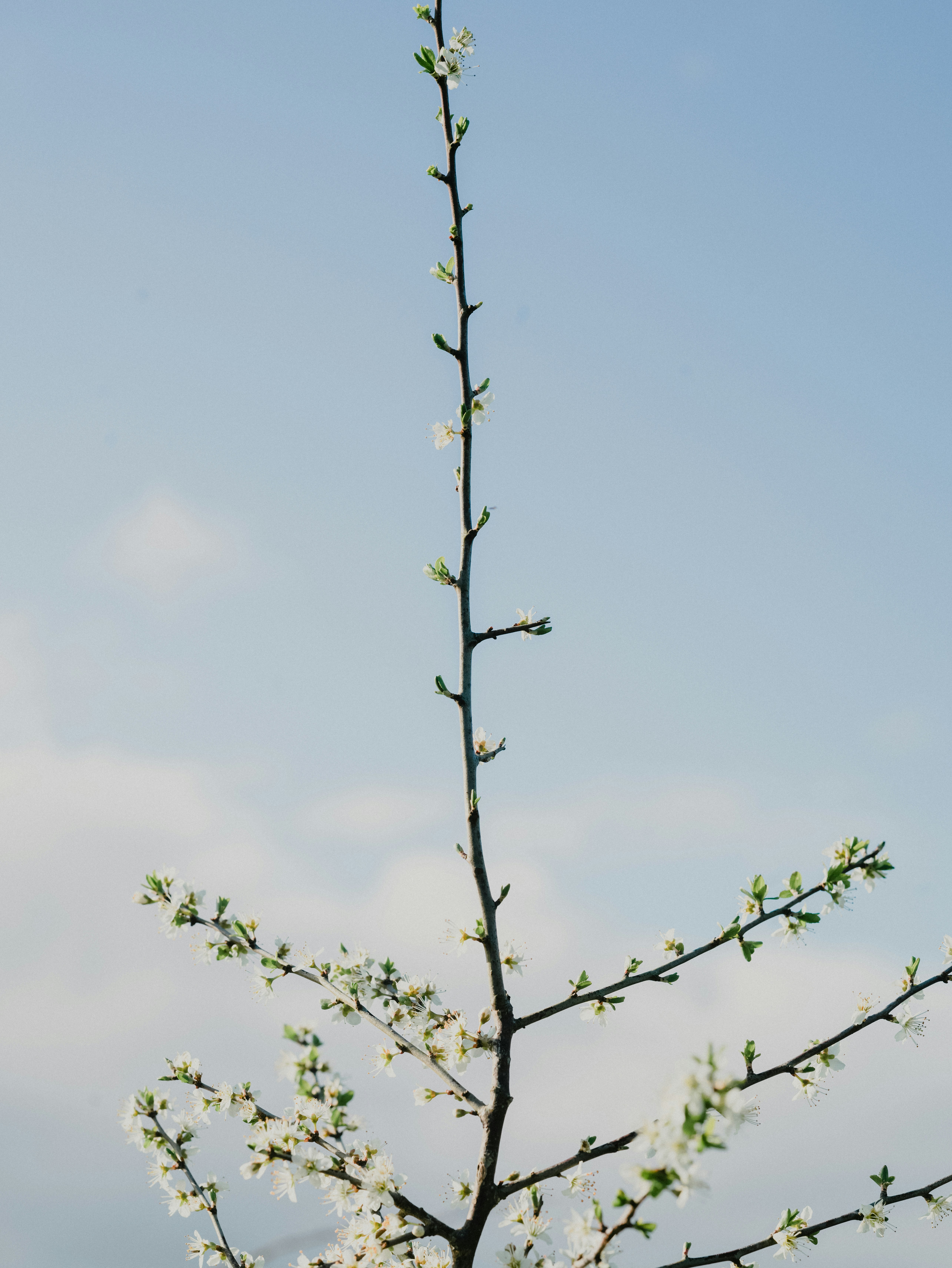 Photo by anniespratt