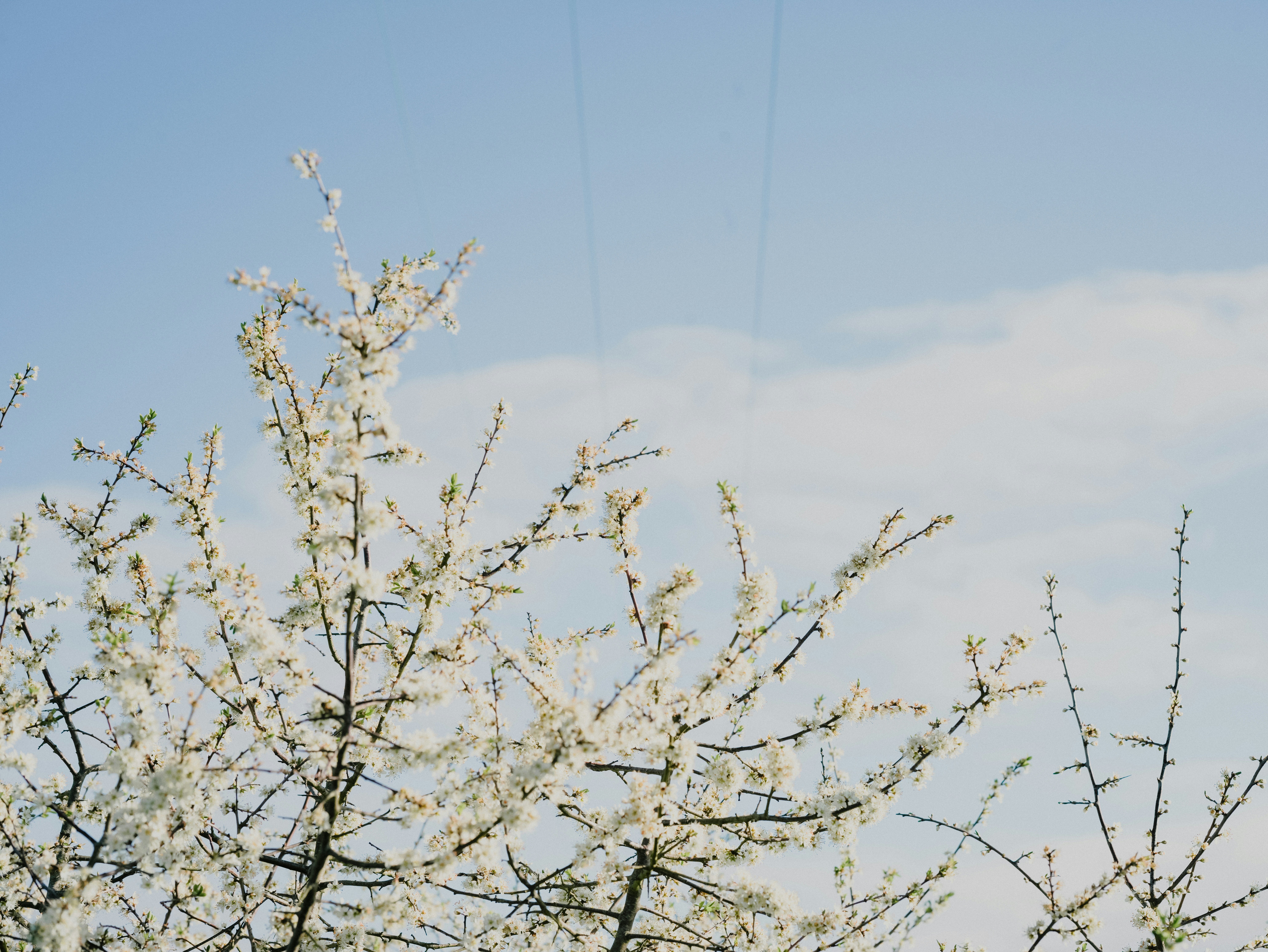 Photo by anniespratt