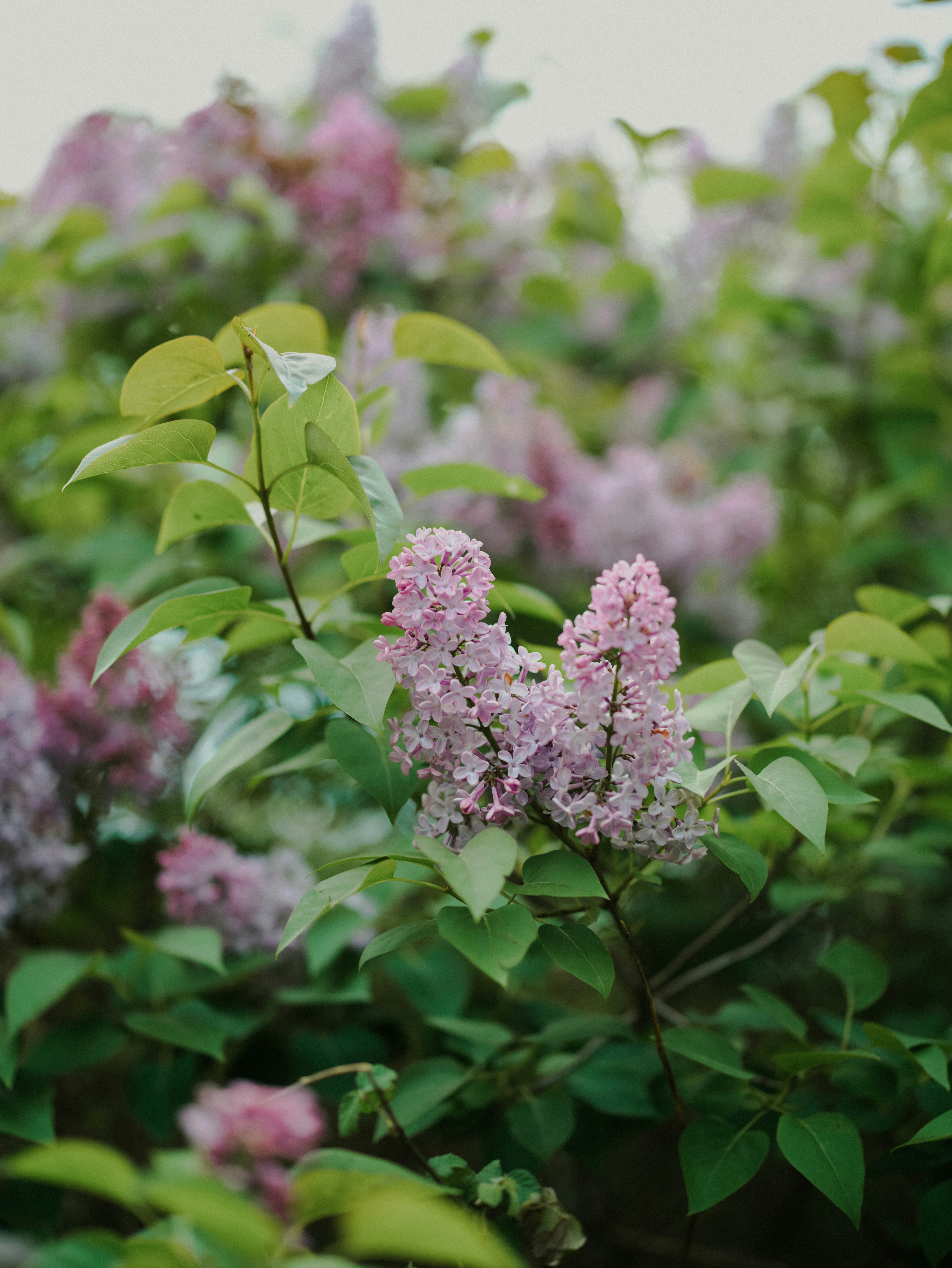 Photo by anniespratt