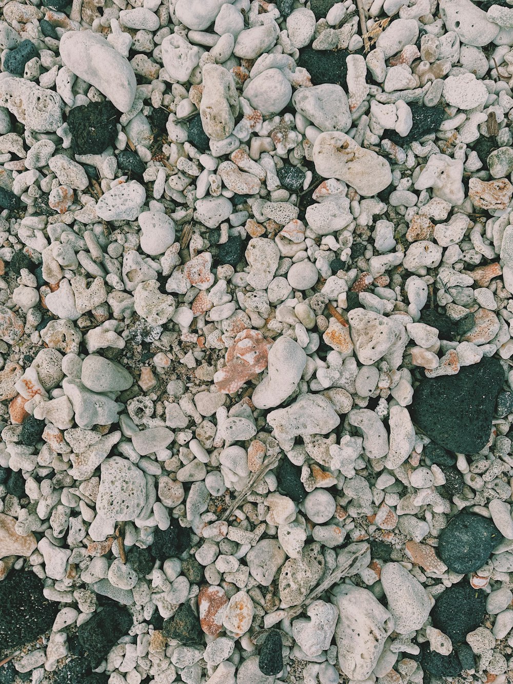 a bunch of rocks that are on the ground