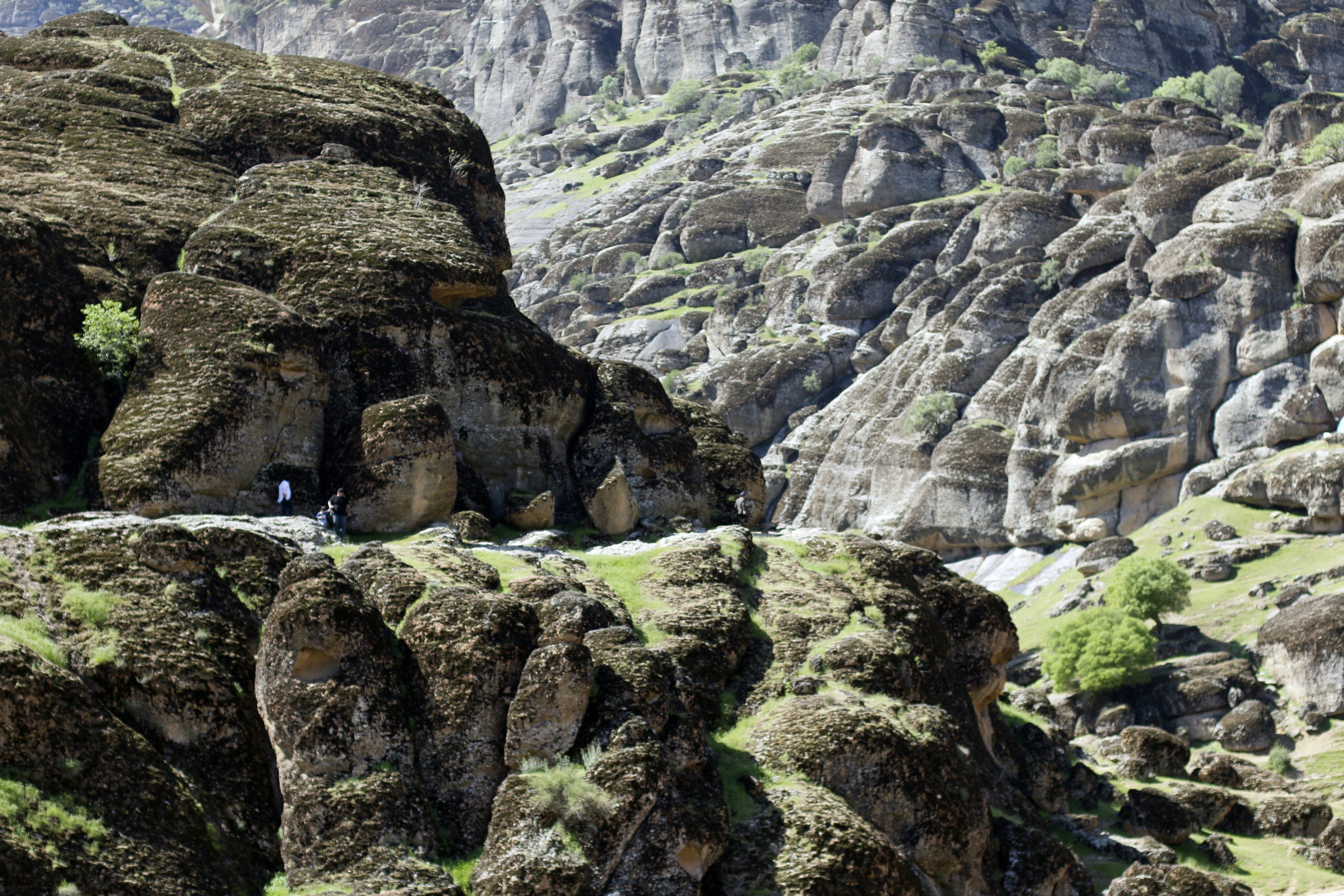 Photo by razipourjafari