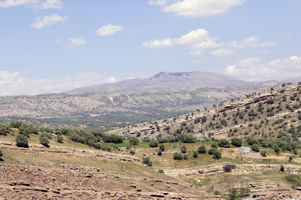 a view of a mountain range with a few trees