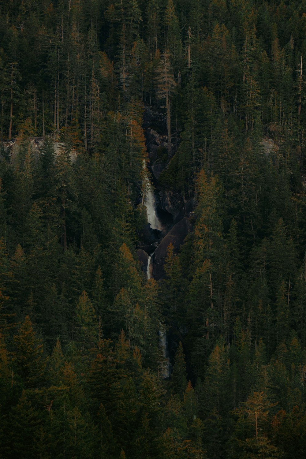 a waterfall in the middle of a forest