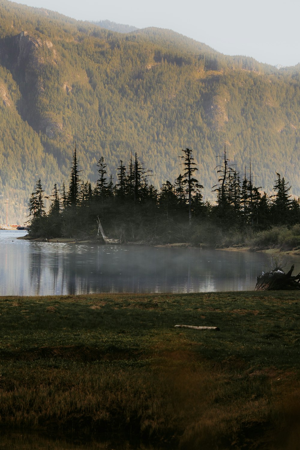 a large body of water surrounded by a forest