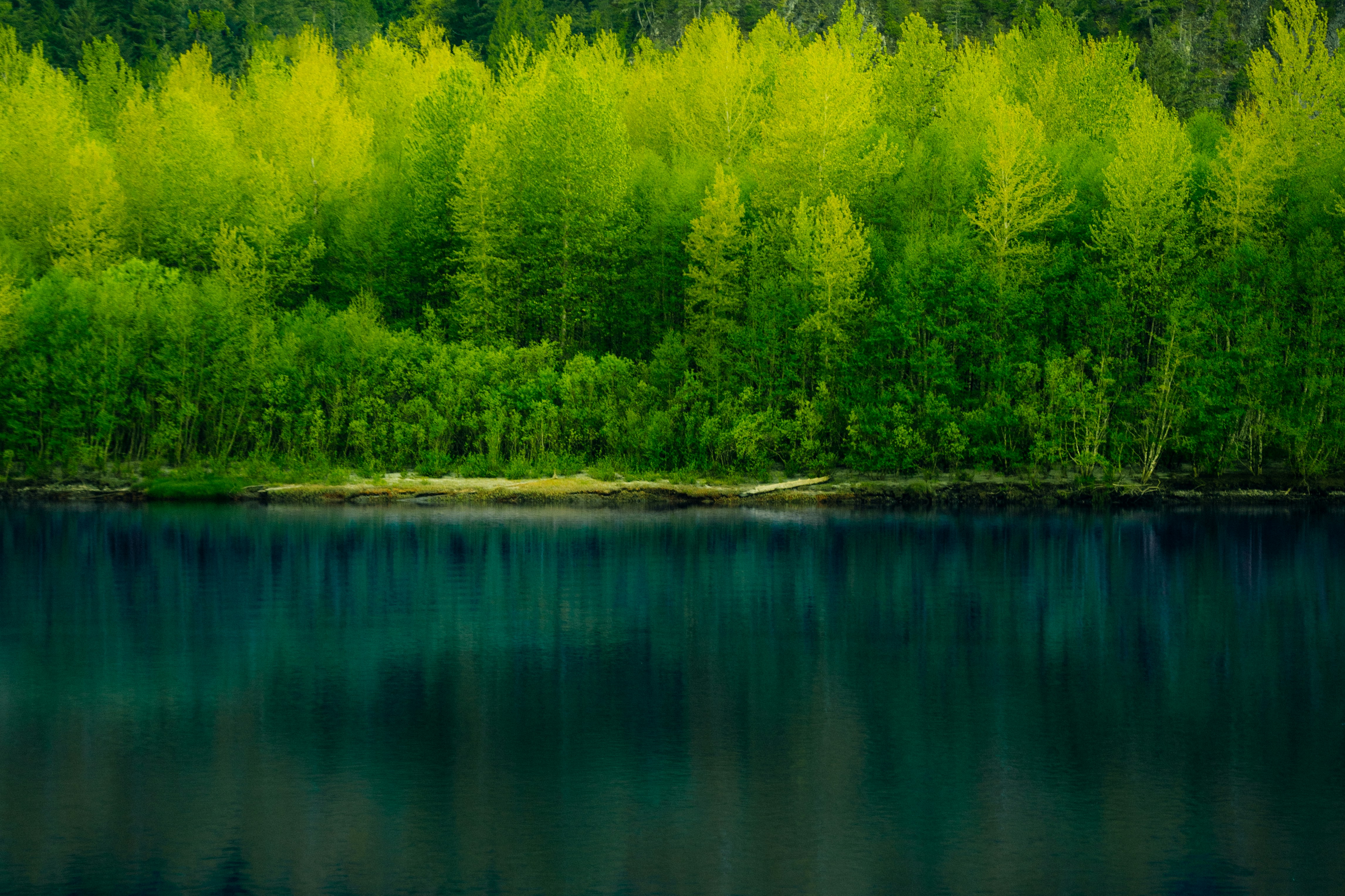 Photo by bylukemiller