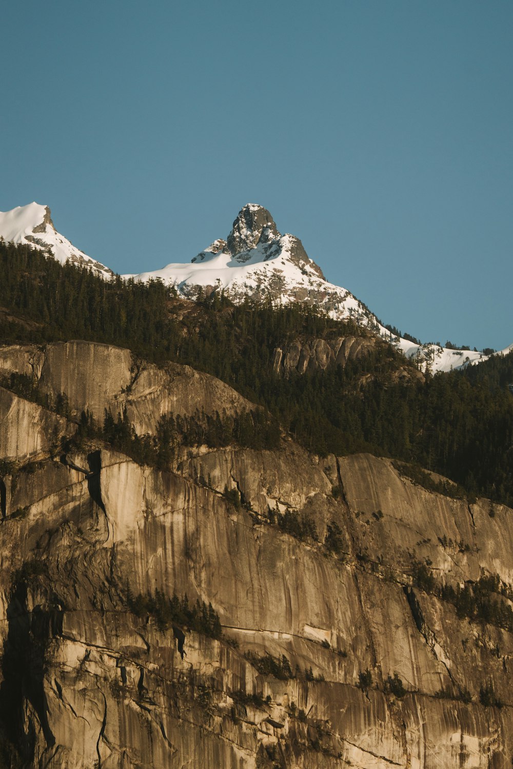 a mountain covered in snow with trees on top of it