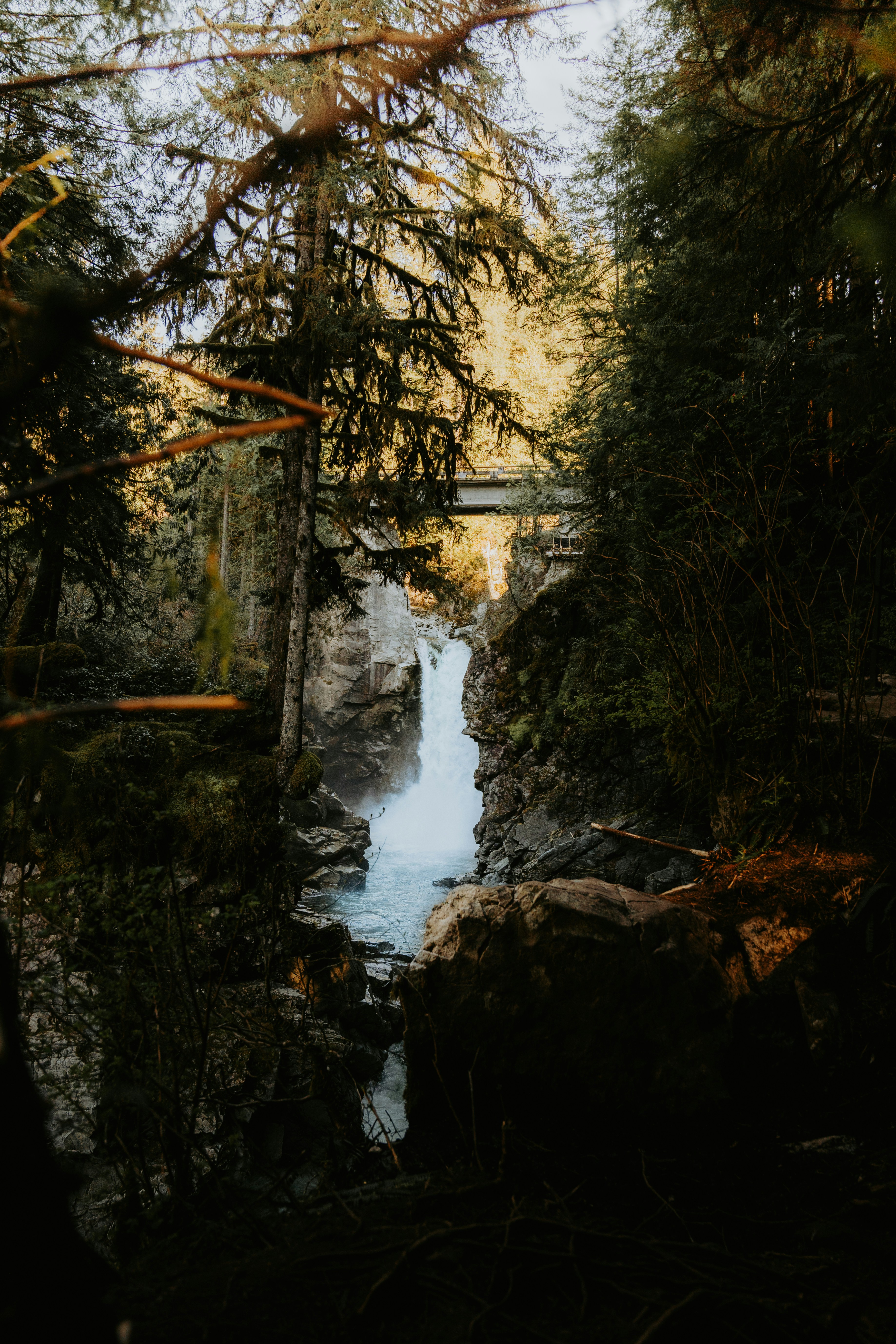 Photo by bylukemiller