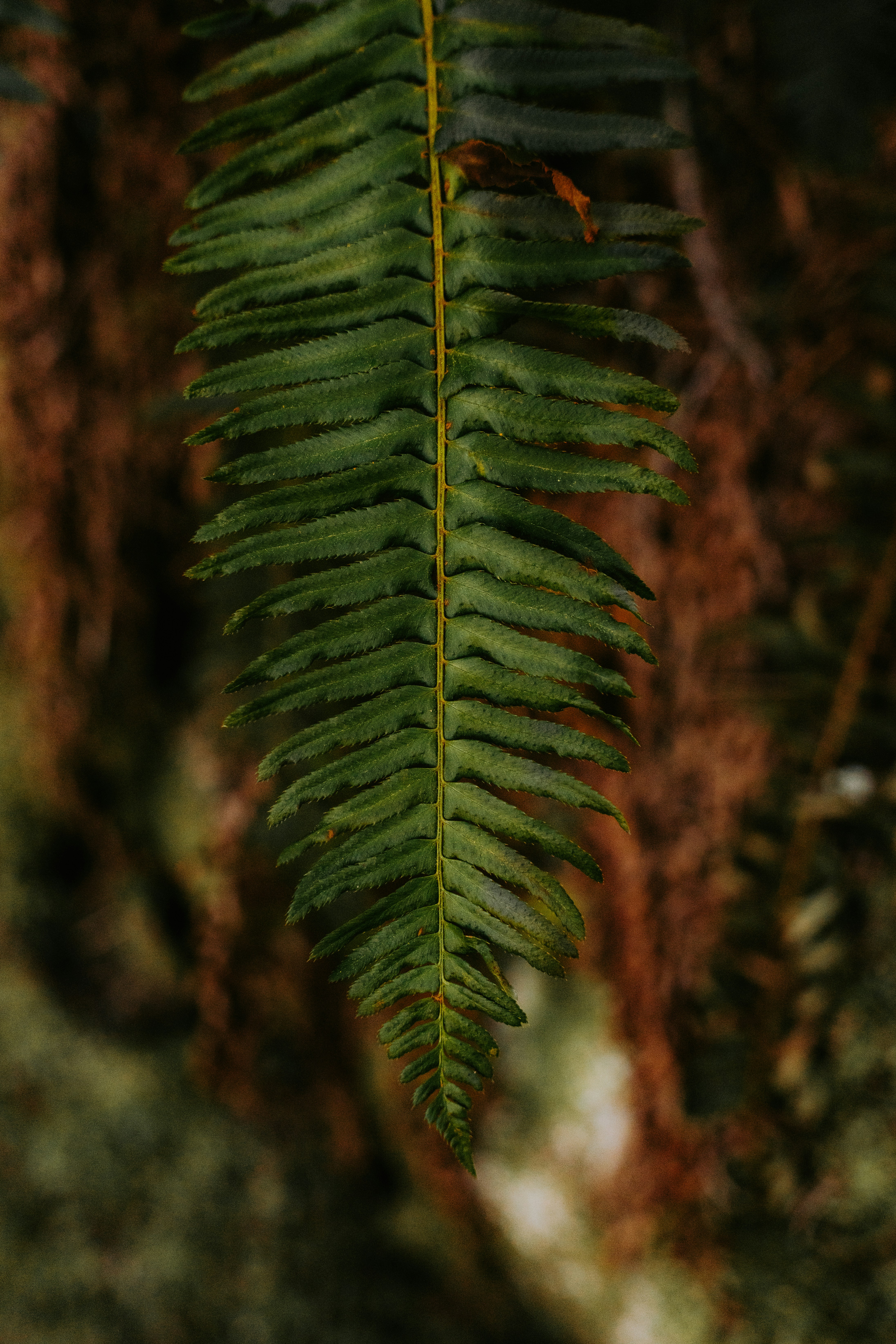 Photo by bylukemiller