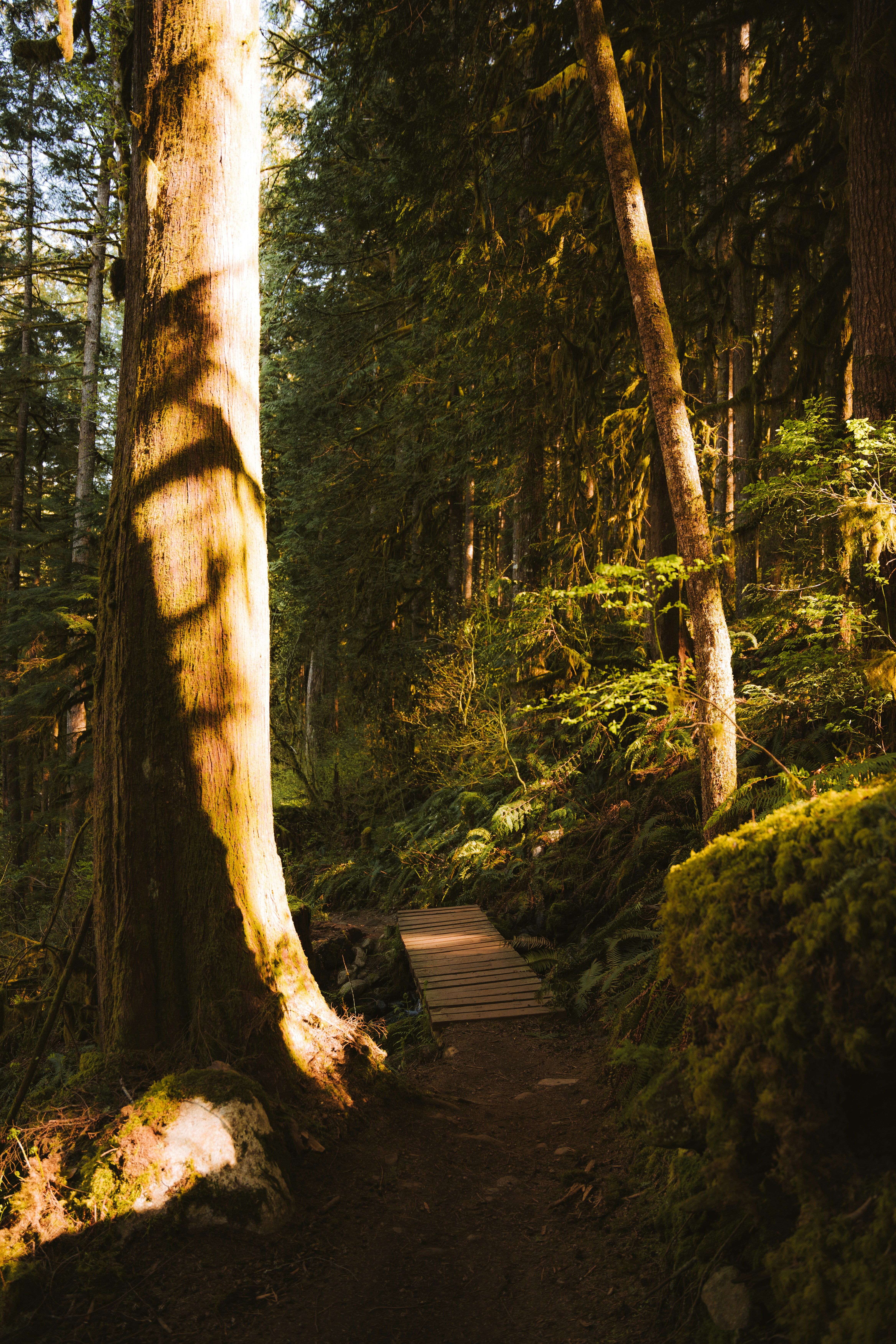 Photo by bylukemiller