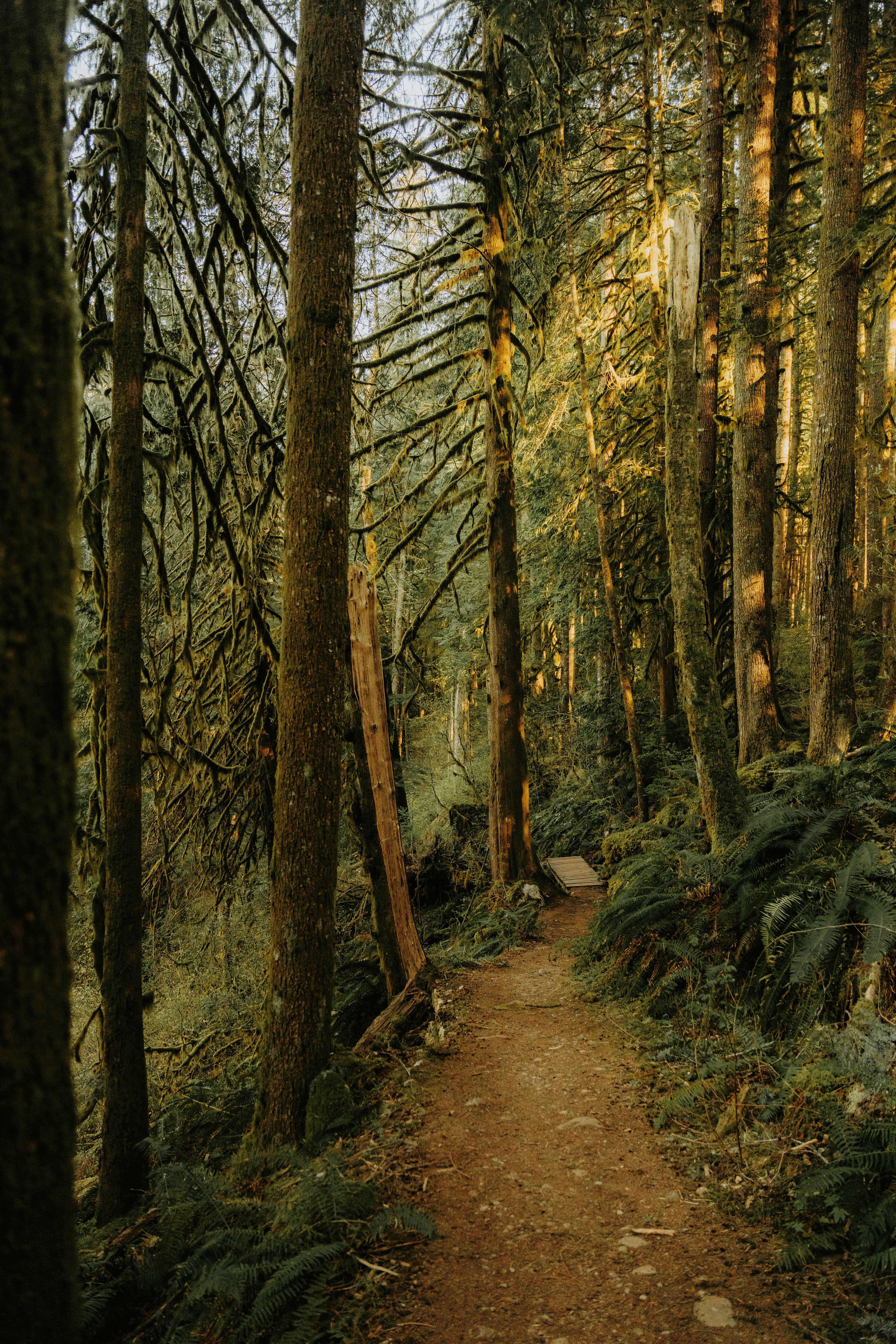 Photo by bylukemiller