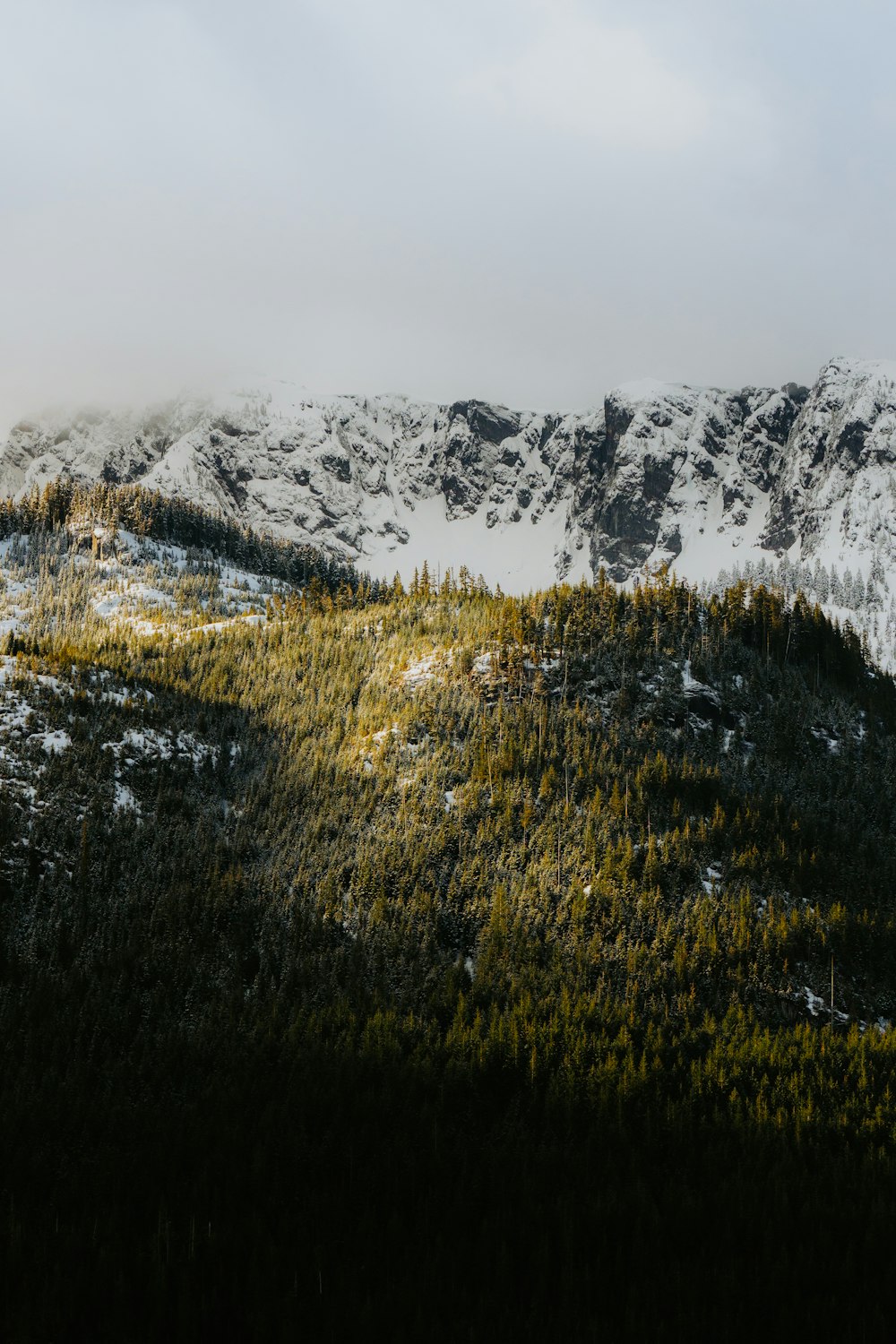 a mountain covered in snow and trees under a cloudy sky