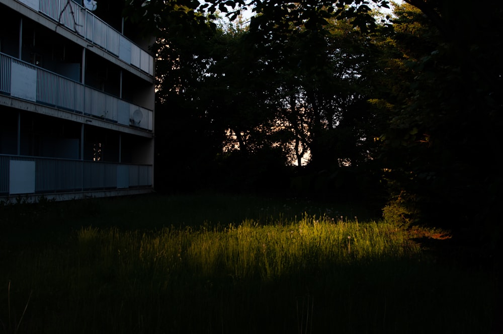 a tall building sitting next to a lush green forest