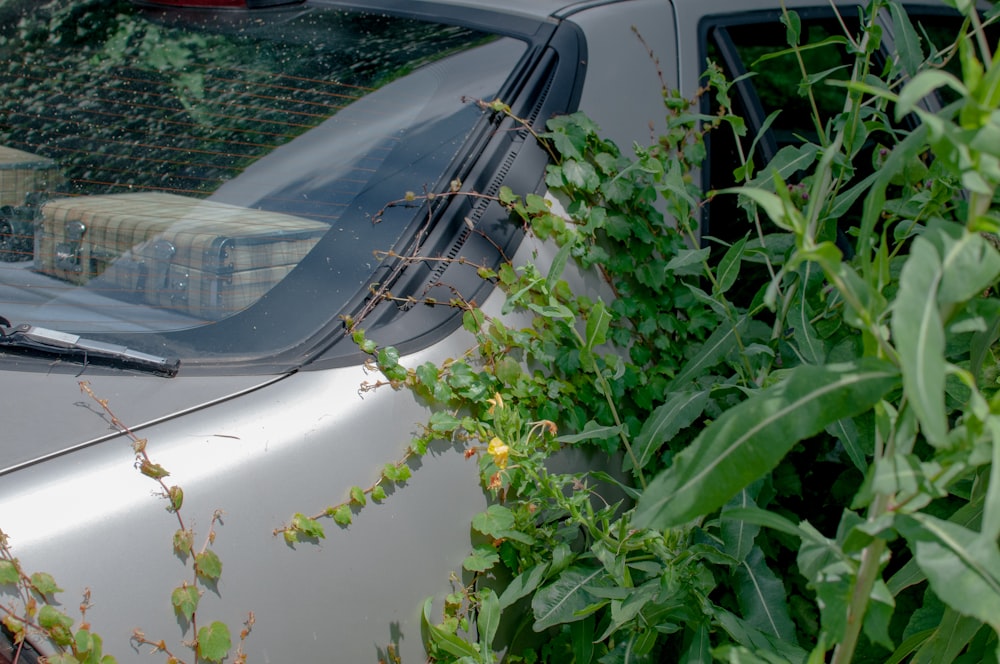 a car parked next to a bush and a building