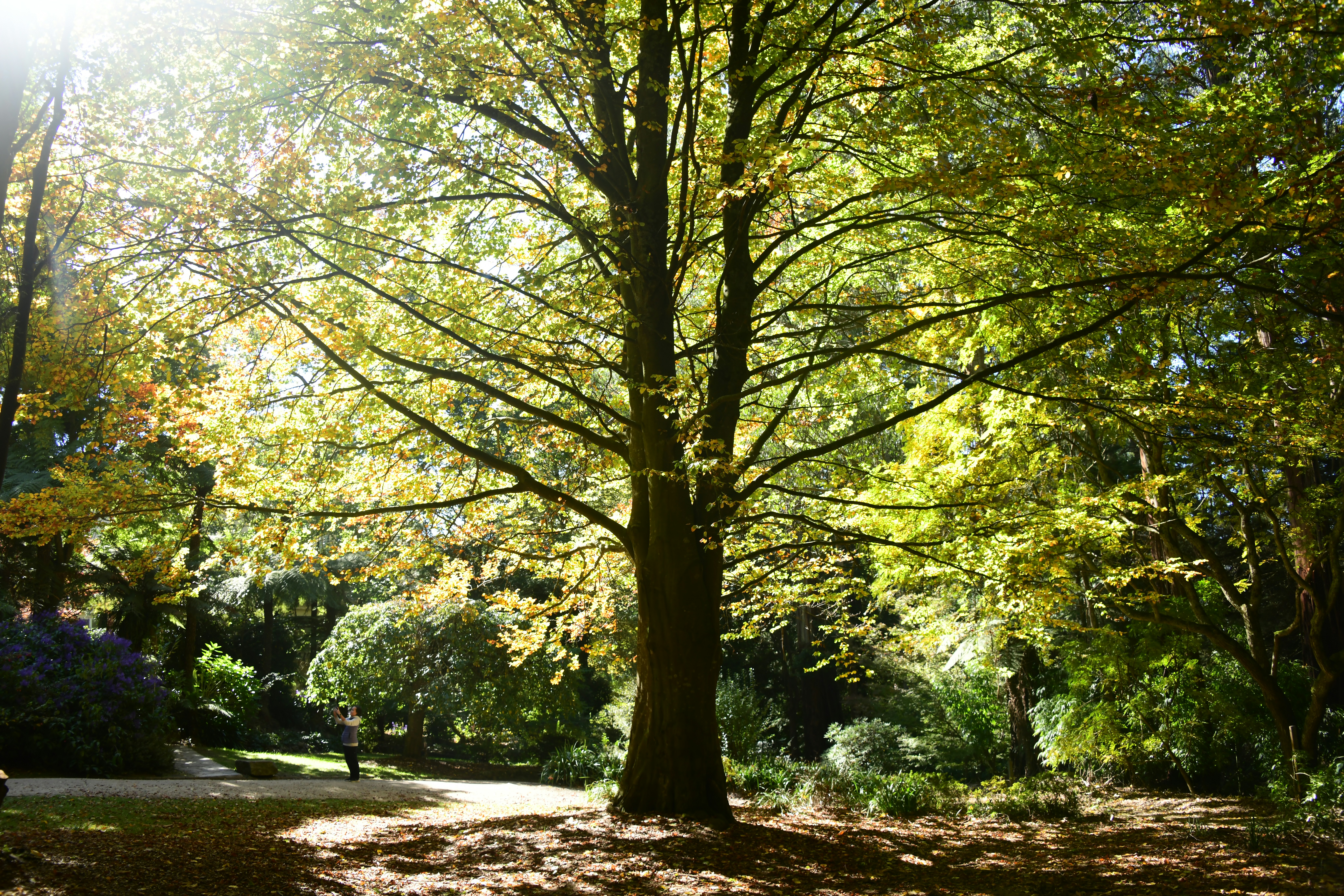 Photo by richard7seals