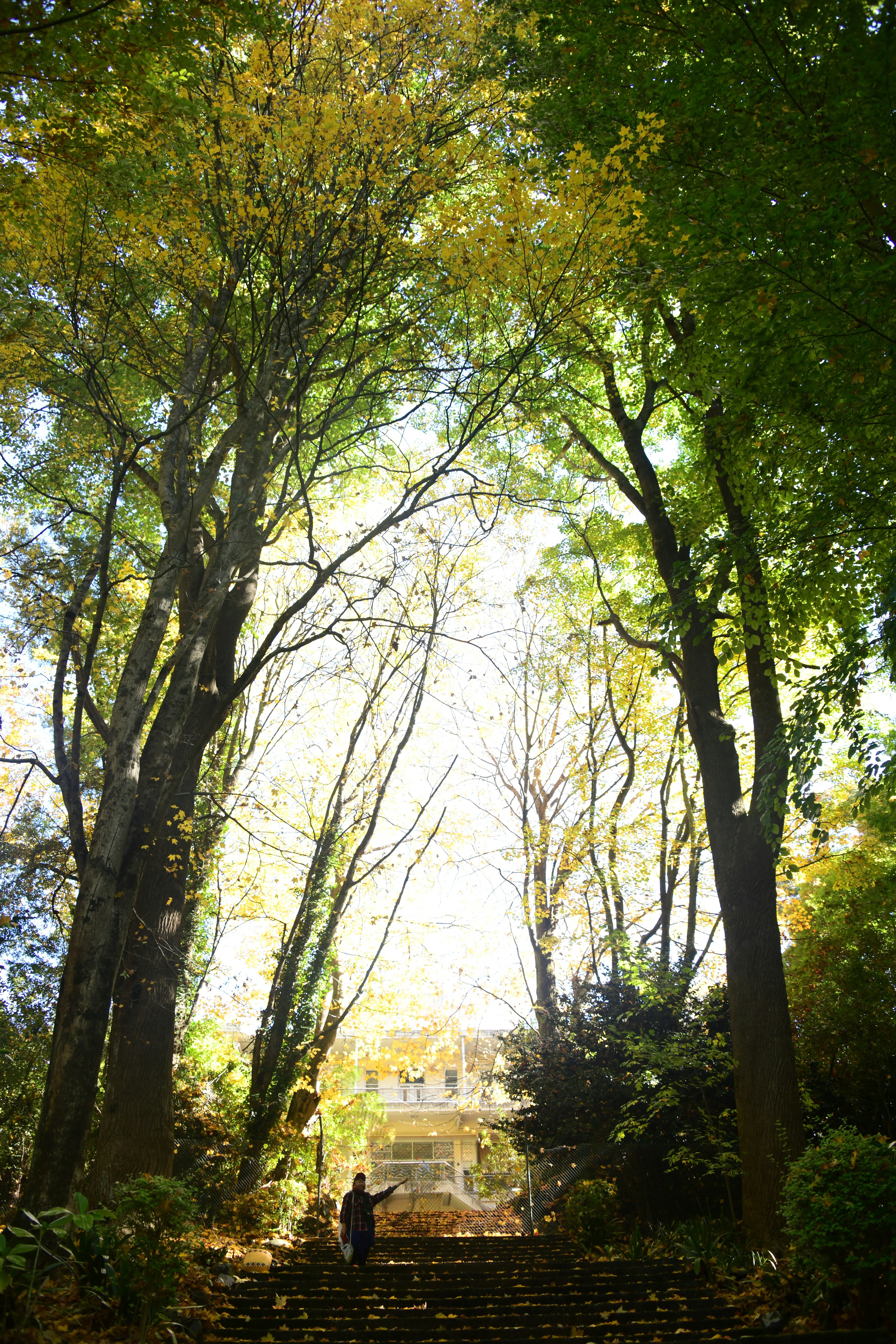 Photo by richard7seals