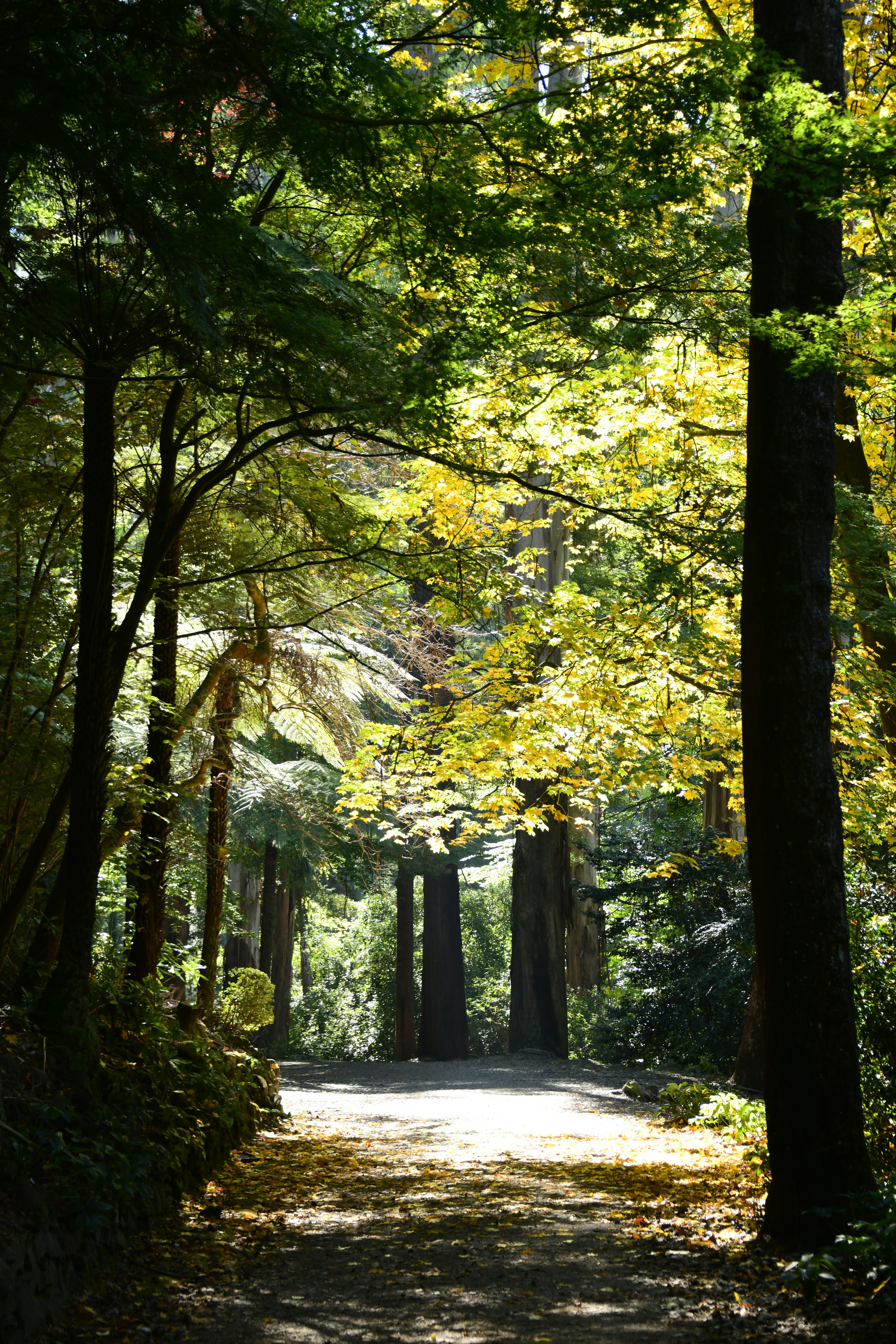 Photo by richard7seals