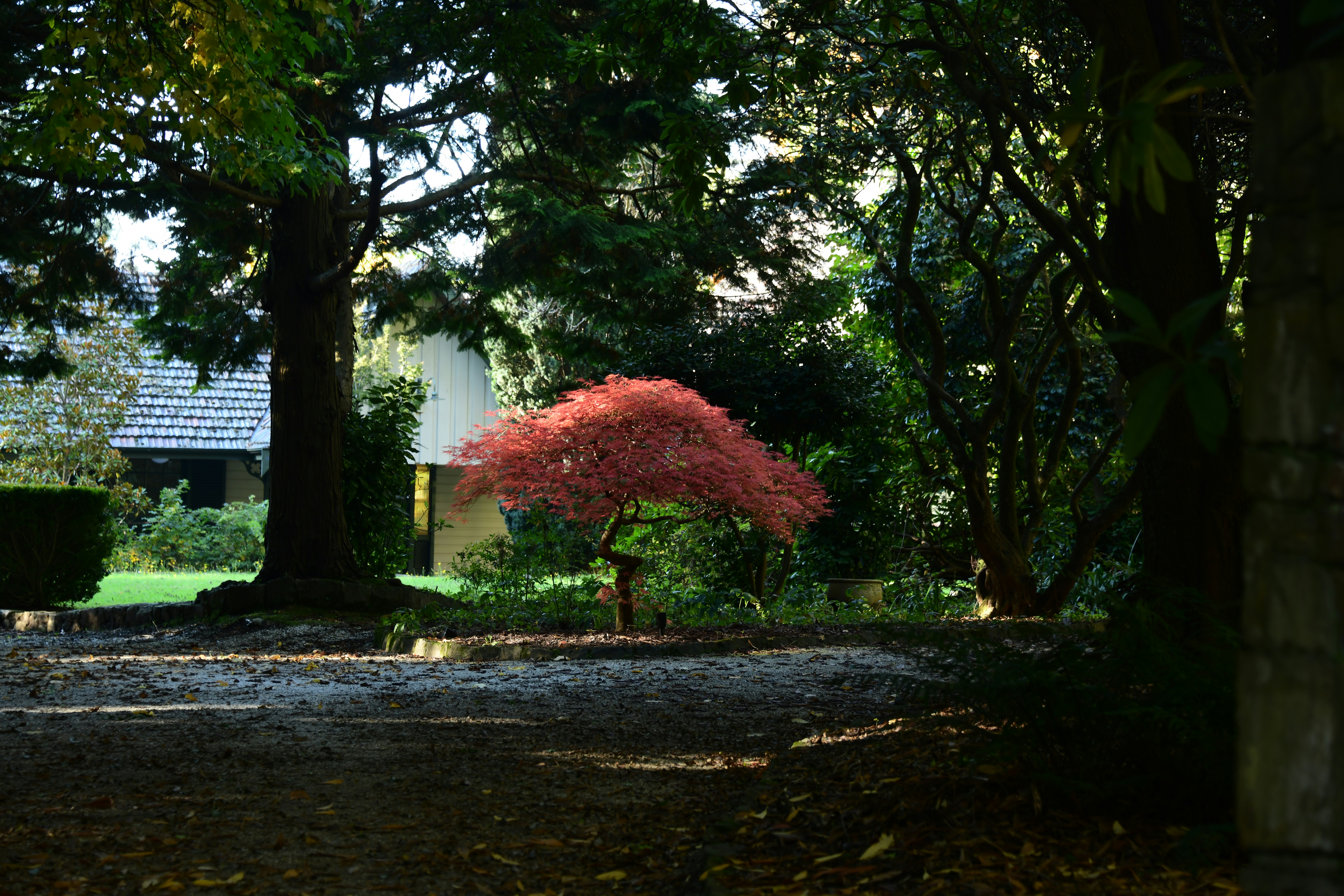 Photo by richard7seals