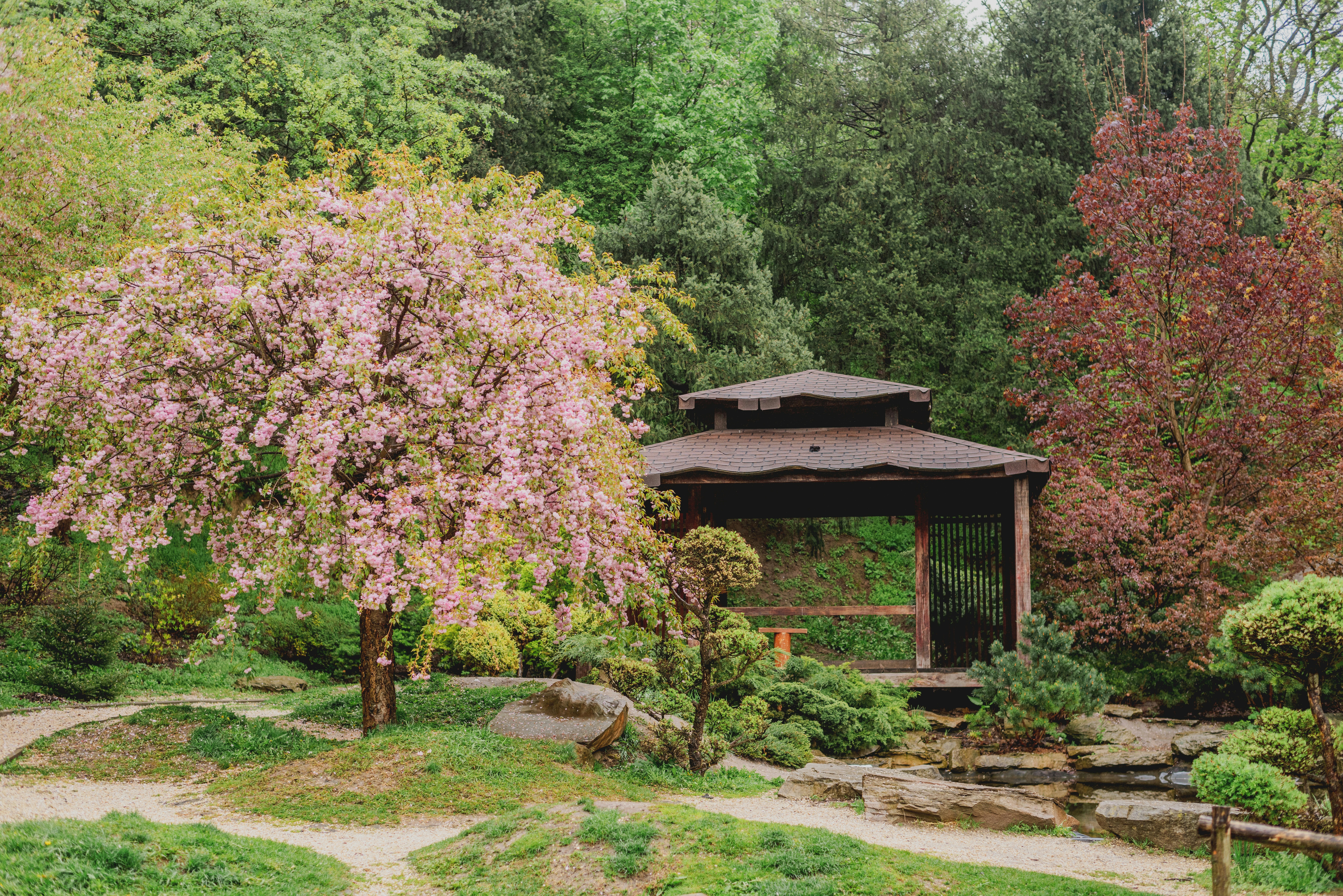 Photo by eugenivy_now