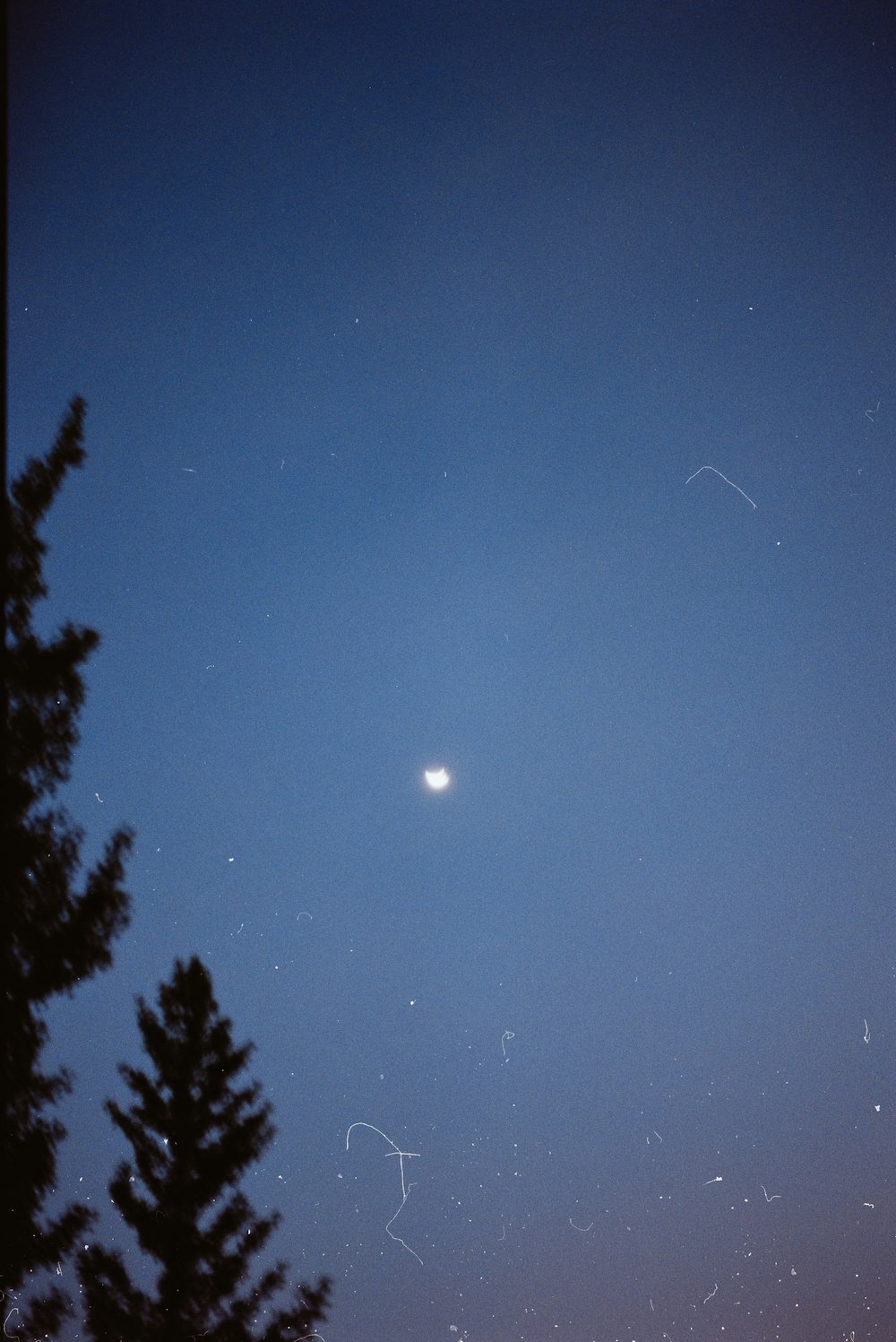 a full moon is seen in the sky above some trees