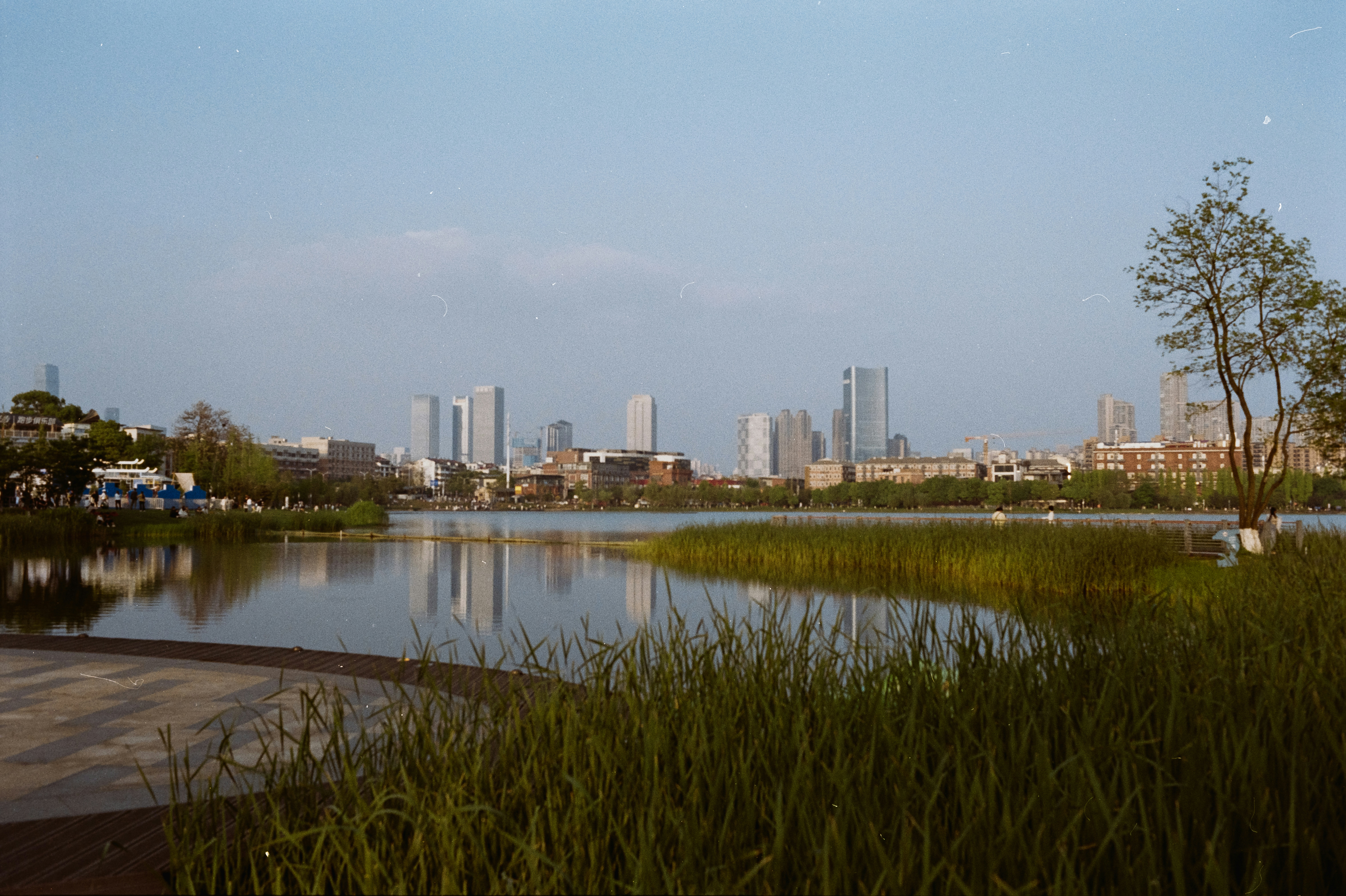Urban Sprawl: Concrete Jungles Strangling Watersheds (image credits: unsplash)