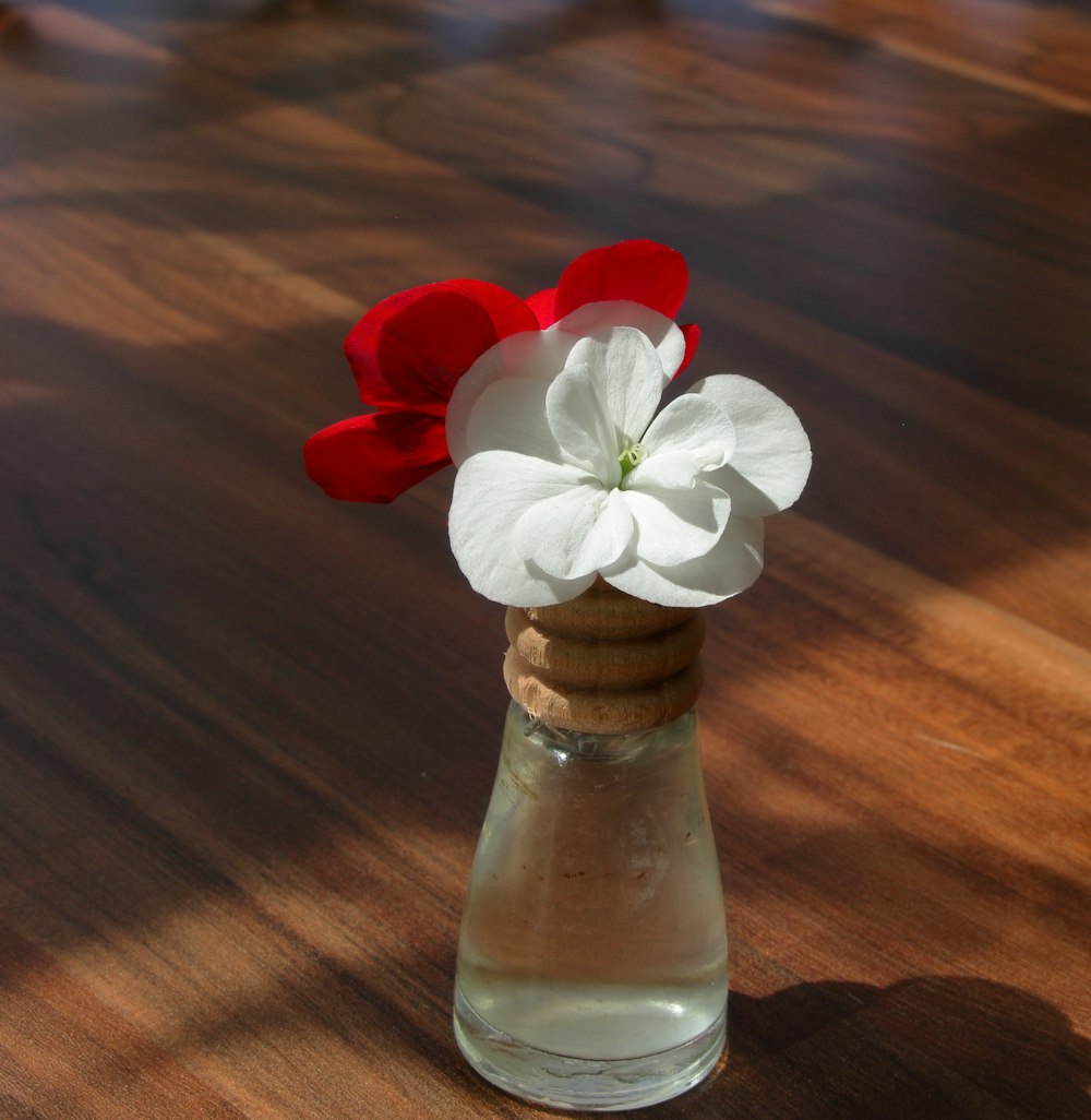 a small glass vase with a flower in it