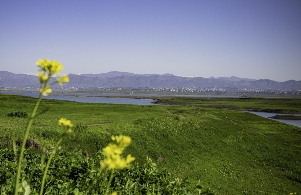 a grassy field with a lake and mountains in the background