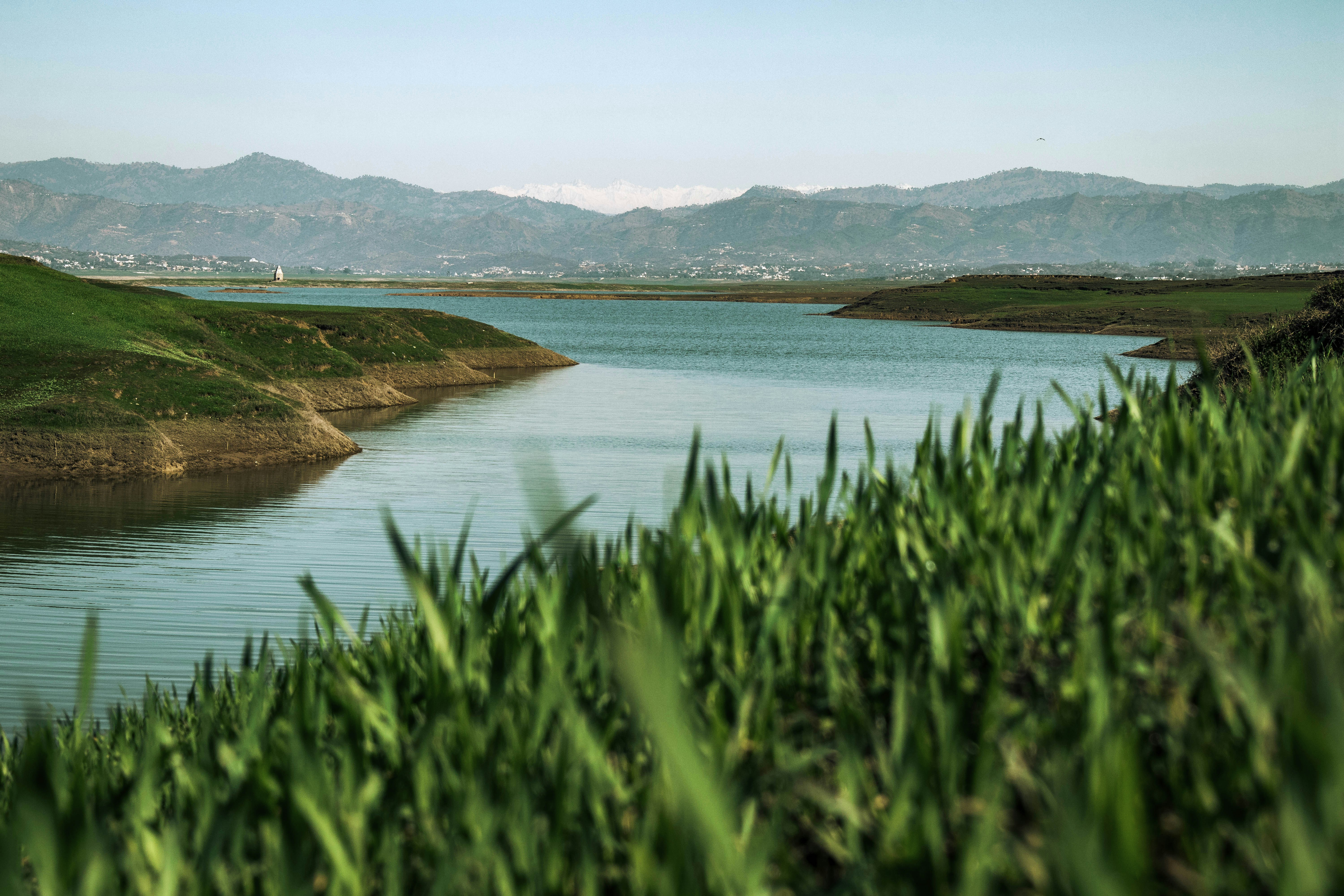 a body of water surrounded by lush green grass