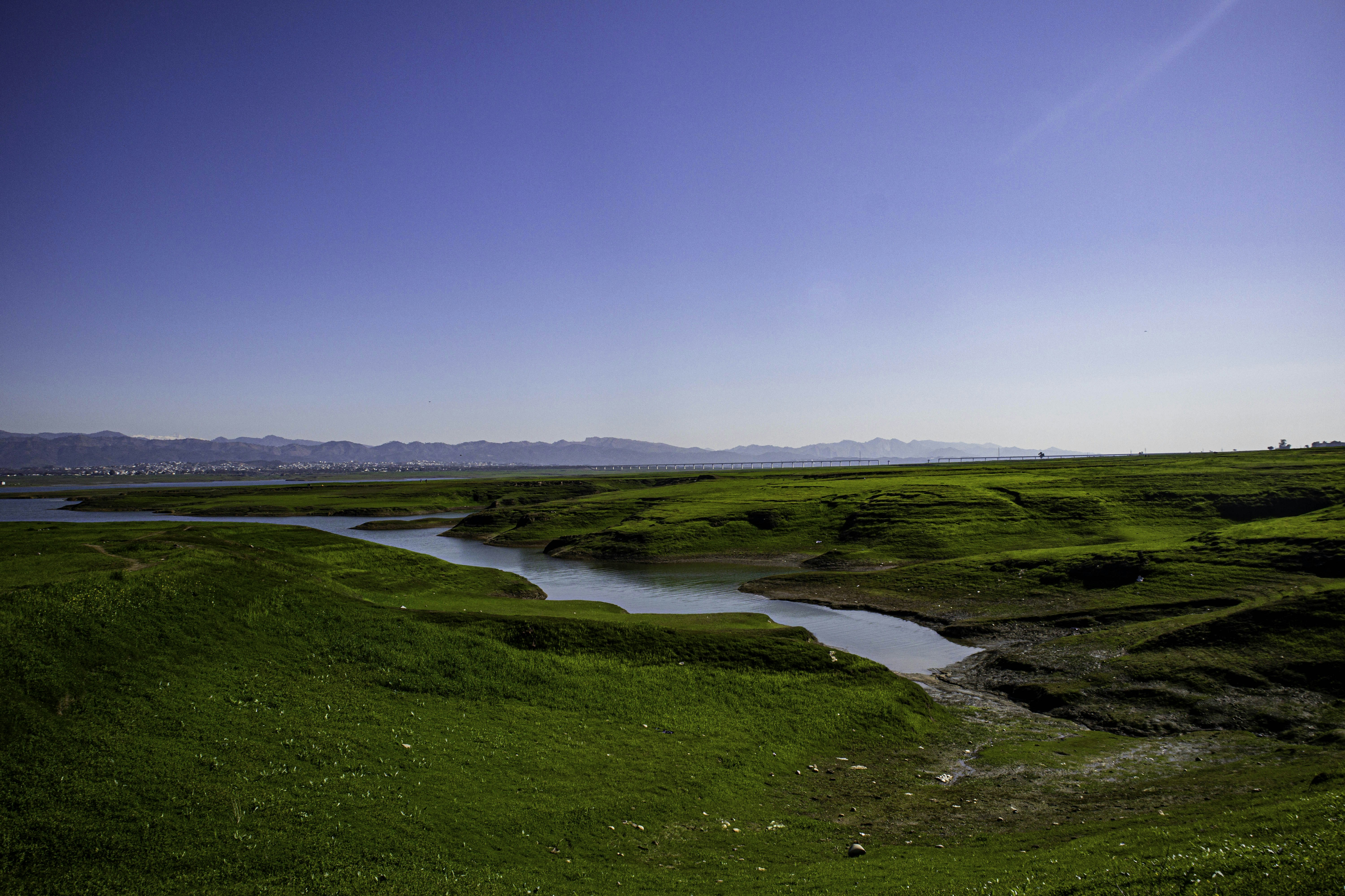 a river running through a lush green field