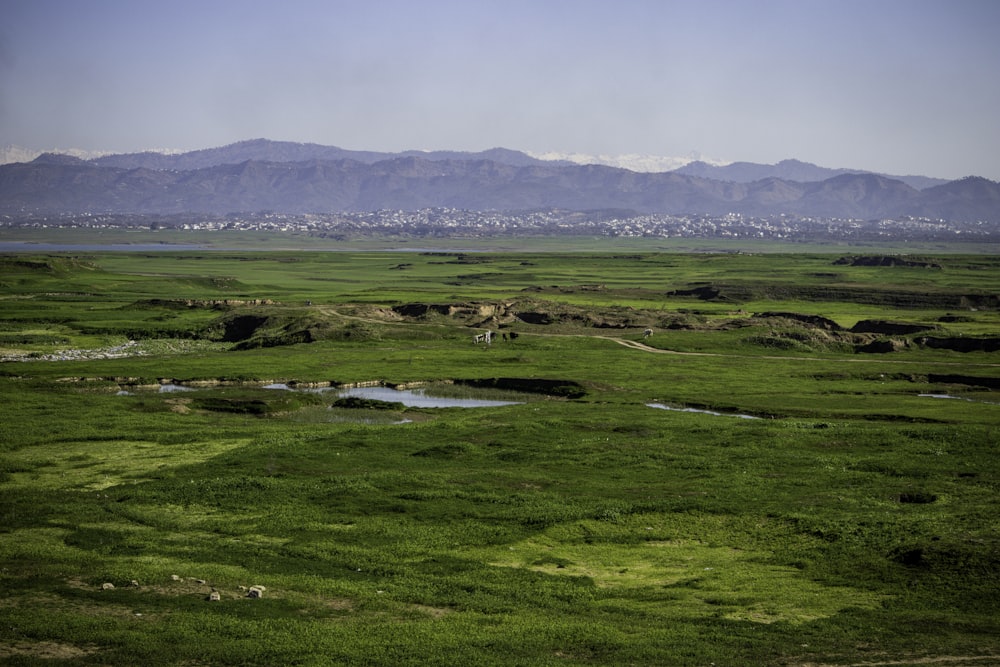 a large open field with mountains in the background