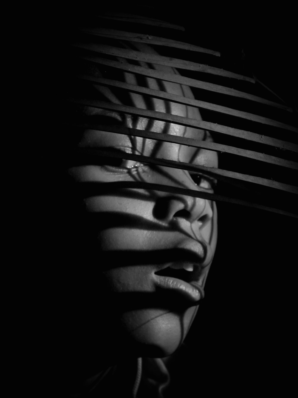 una foto en blanco y negro de la cara de una mujer detrás de una persiana