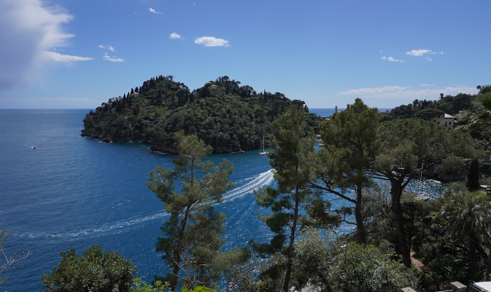 a boat traveling through a body of water surrounded by trees