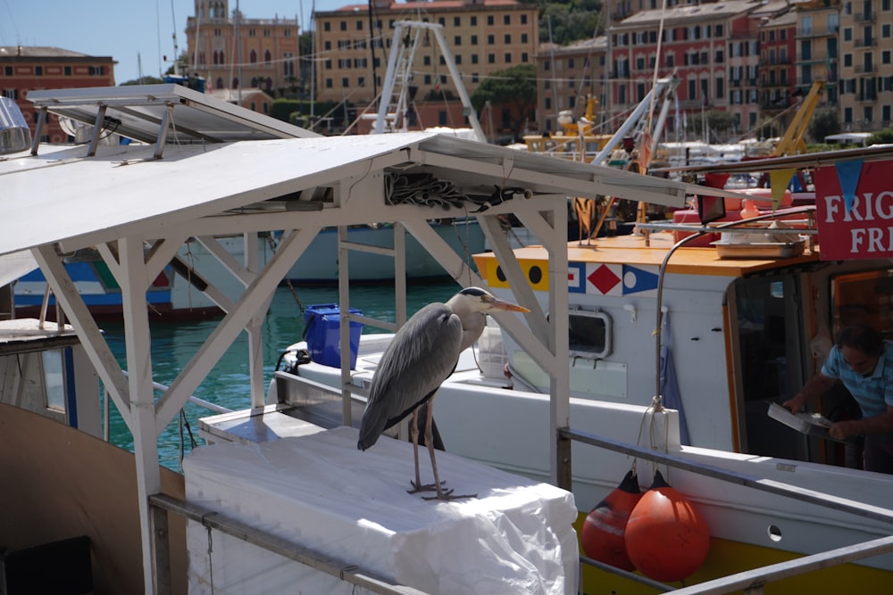 a bird is sitting on the edge of a boat