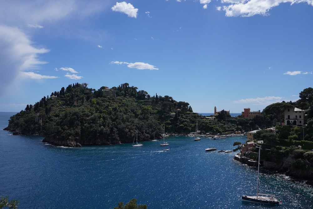 a body of water surrounded by trees and a small island