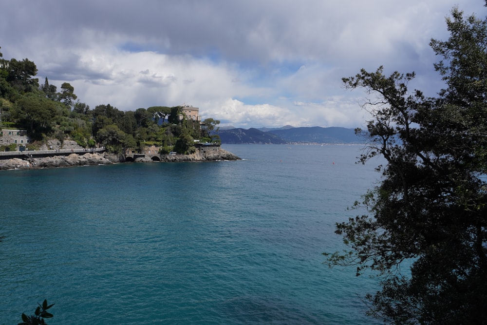 a body of water surrounded by trees and mountains