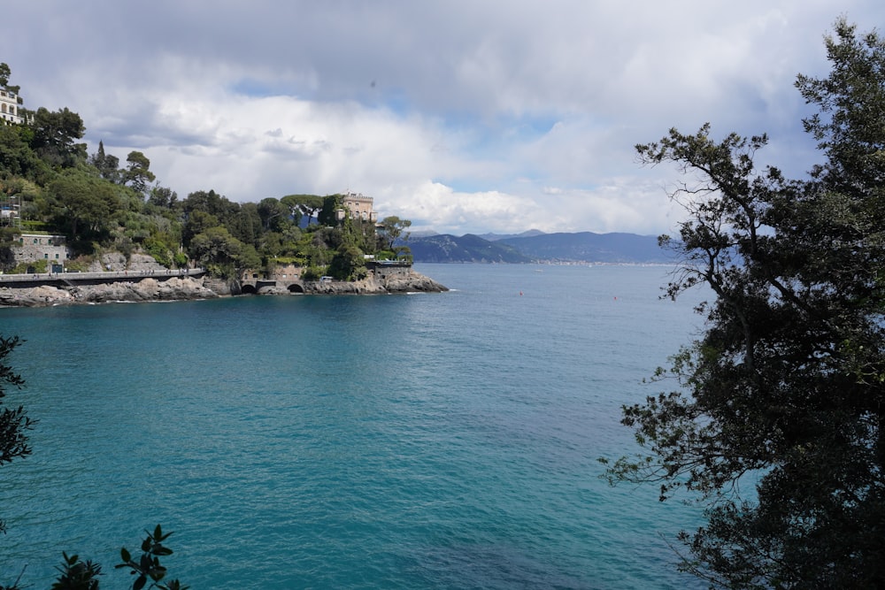 a body of water surrounded by trees and buildings