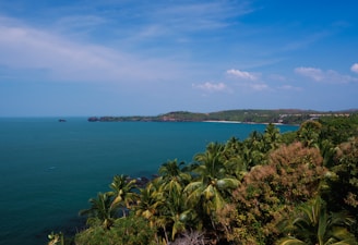 a view of the ocean from a hill
