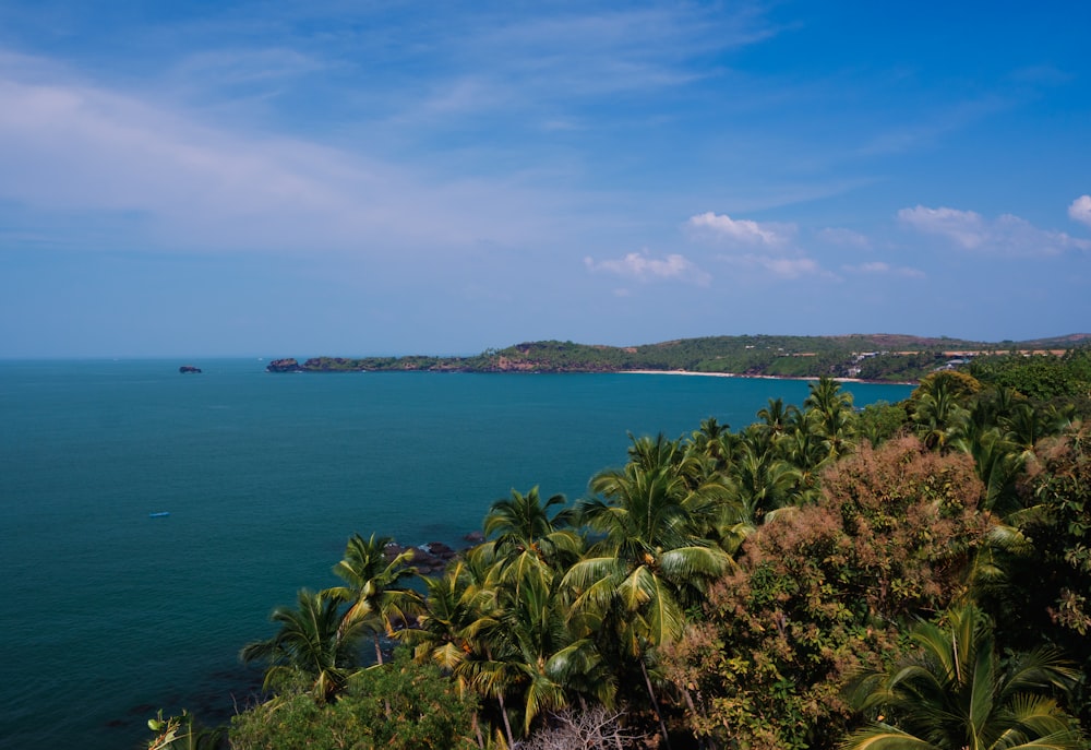 uma vista do oceano a partir de uma colina