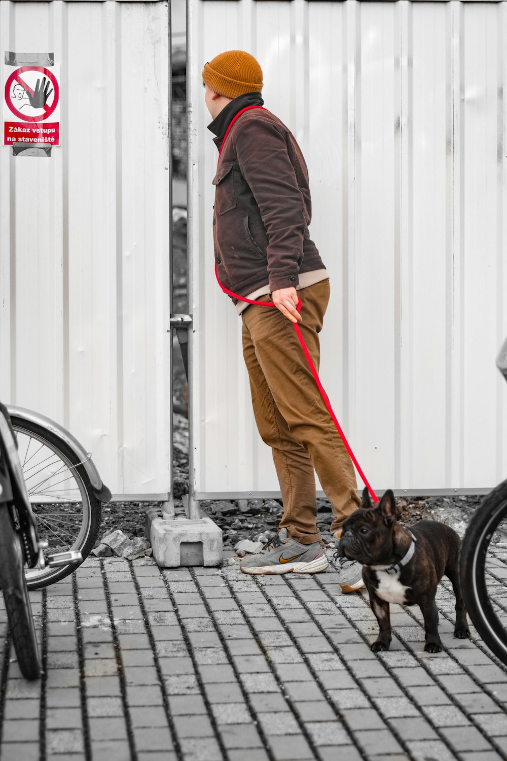 a man walking a dog on a leash