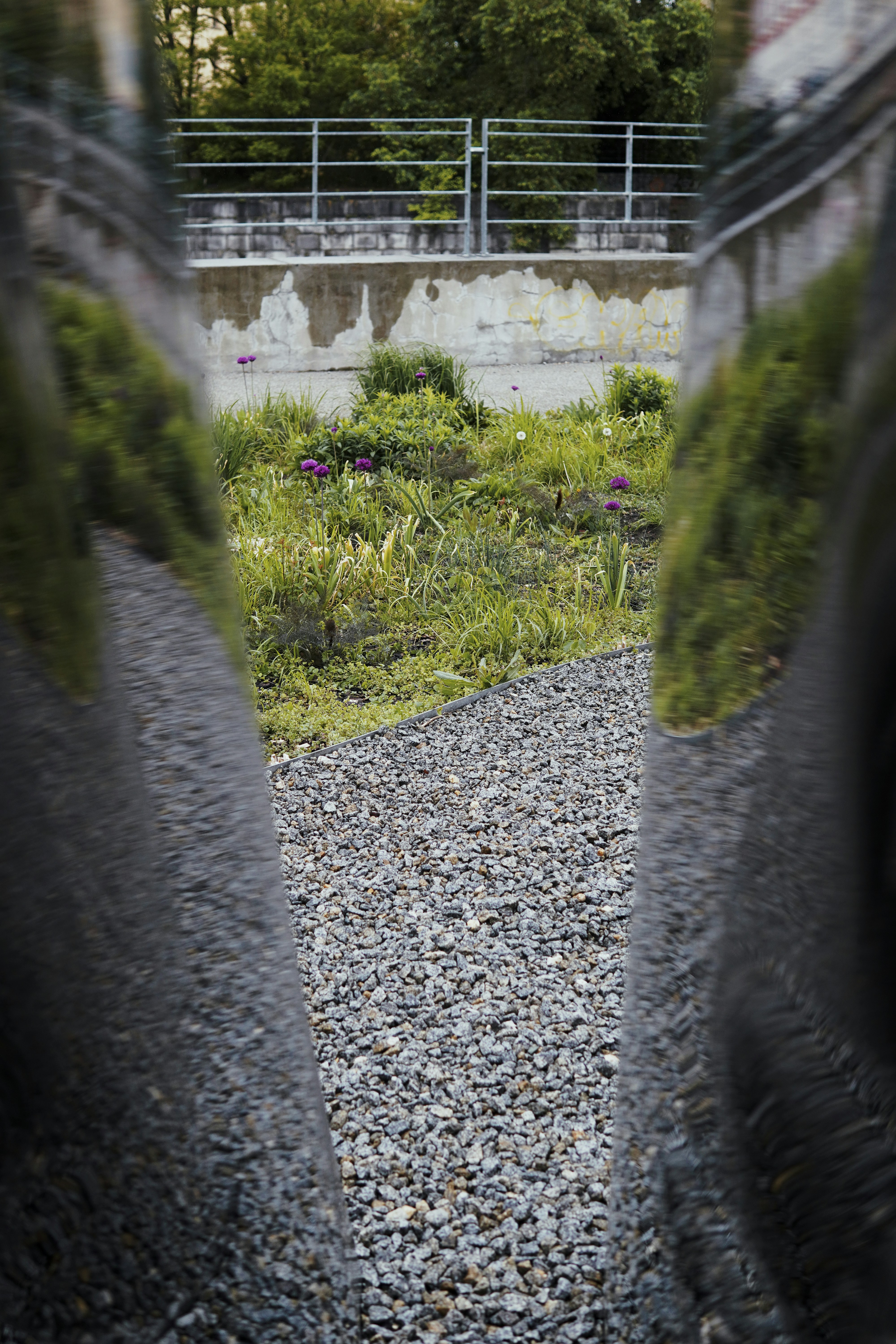 a reflection of a building in a mirror